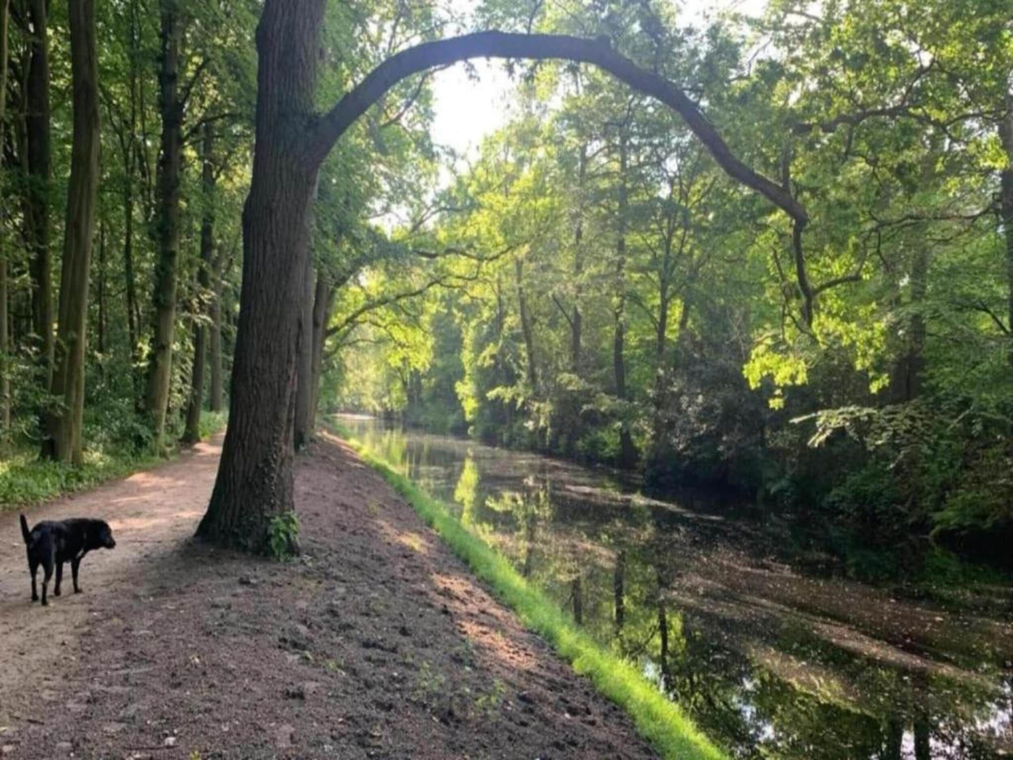 De omgeving van Hof van Craeck II in Bergen