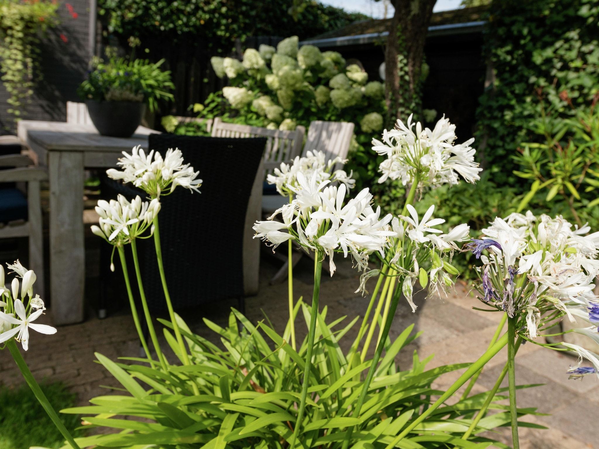 De tuin van Hof van Craeck III in Bergen