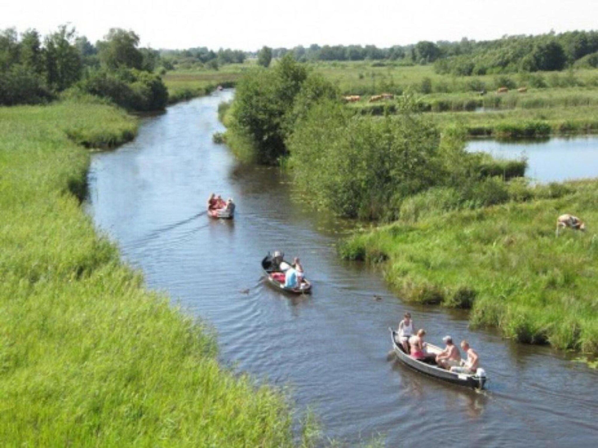 De omgeving van Résidence de Weerribben 3 in Paasloo