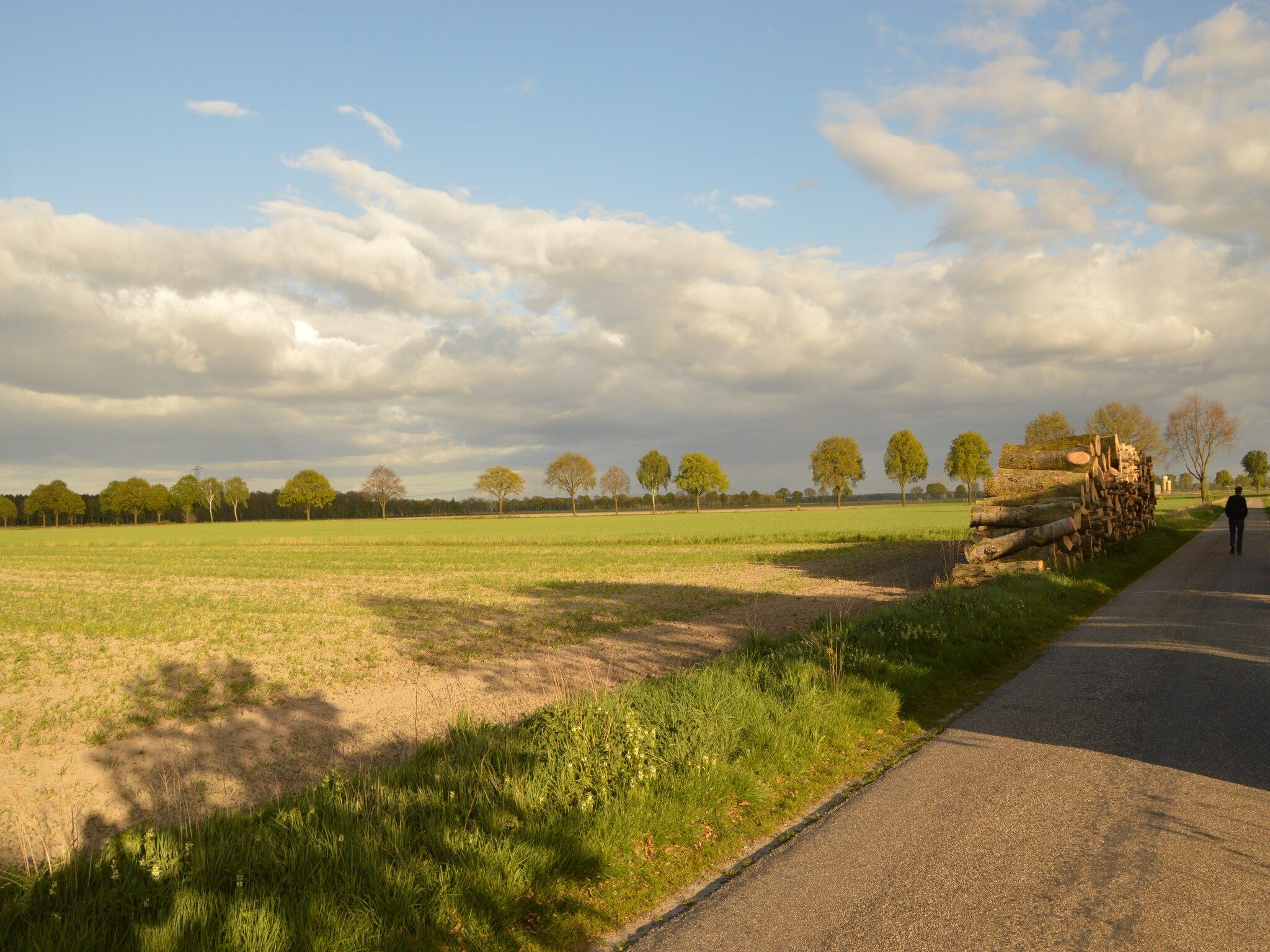 Het uitzicht vanaf Bi-j Moppe Door in Nederweert Eind
