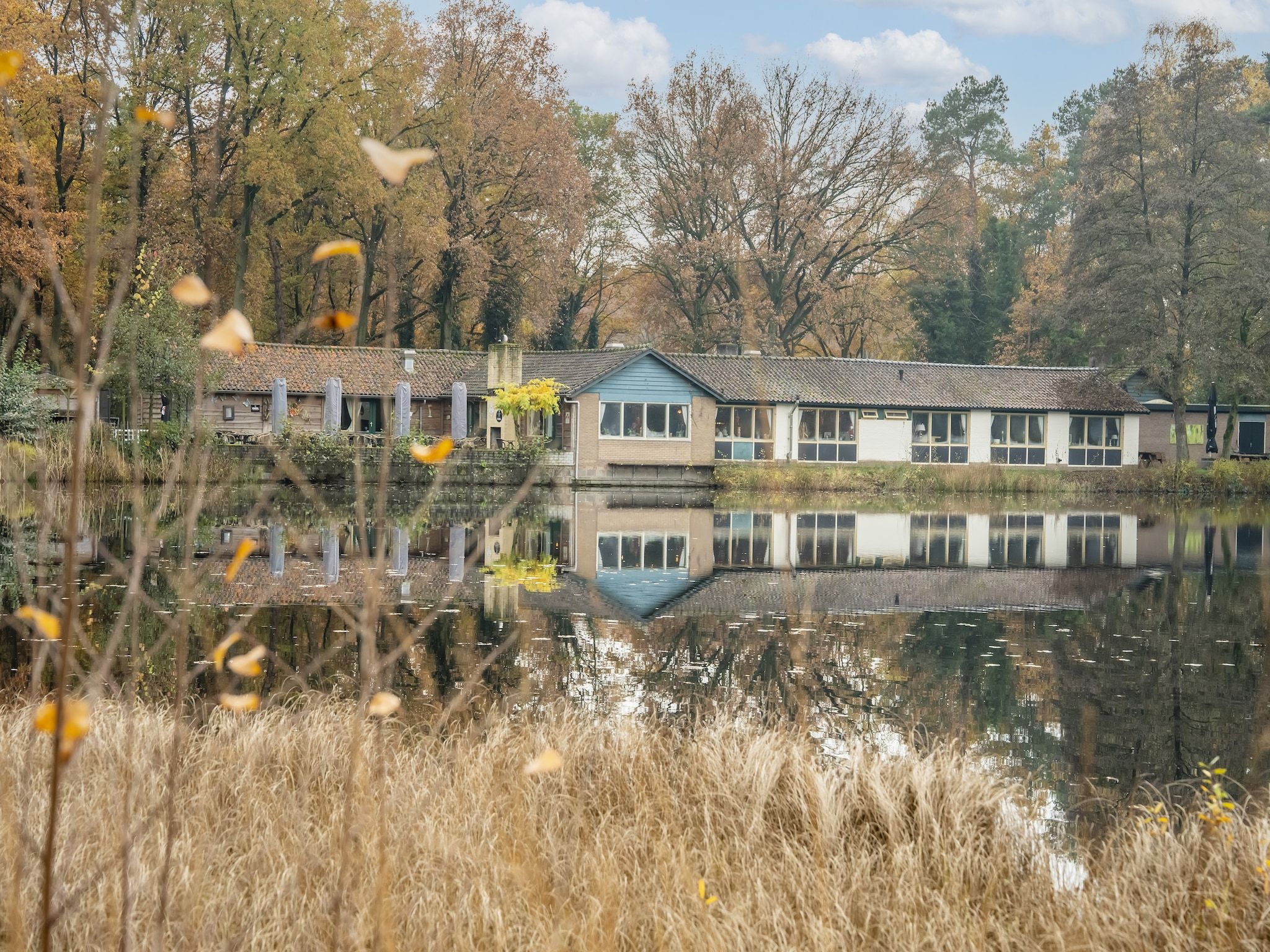 De omgeving van Vosseven 17 Wezel in Stramproy