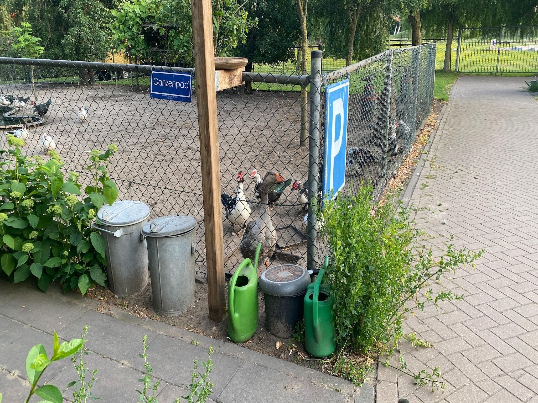 Voorzieningen bij Pipowagen de Weideblick in Bergen op Zoom