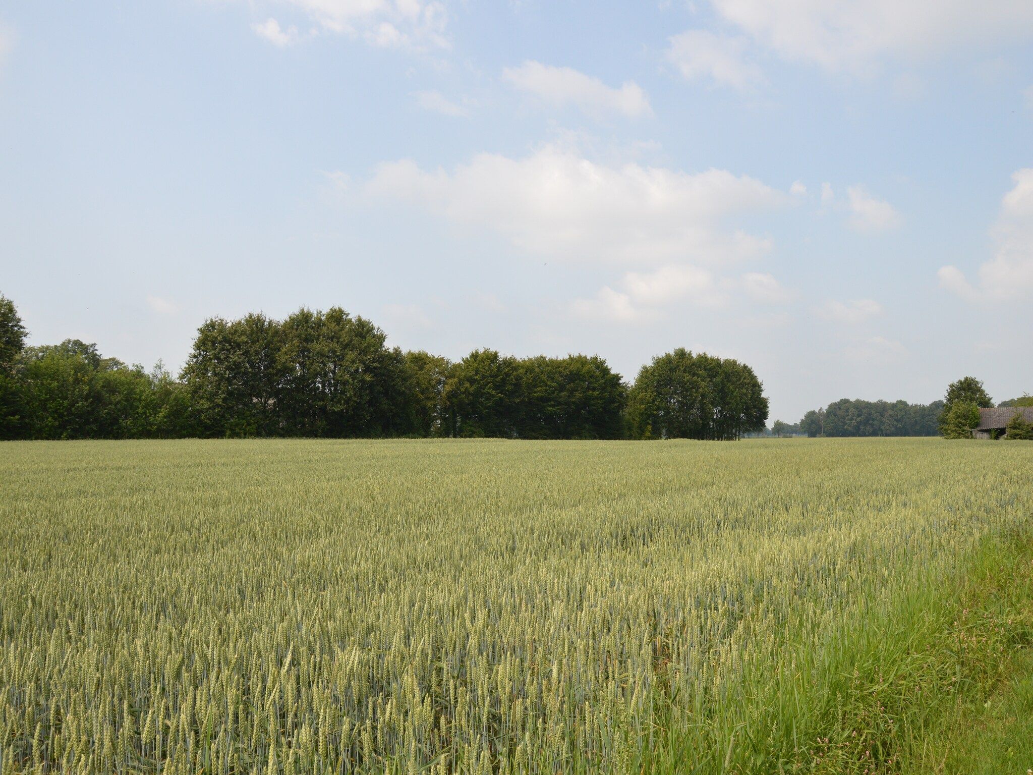 Het uitzicht vanaf Kabinet & Dekenkist in Geesteren