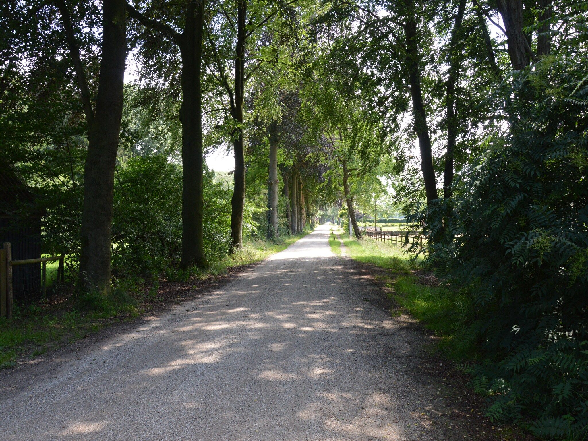 Het Kruisselt in Zelhem - Foto 23 van 36