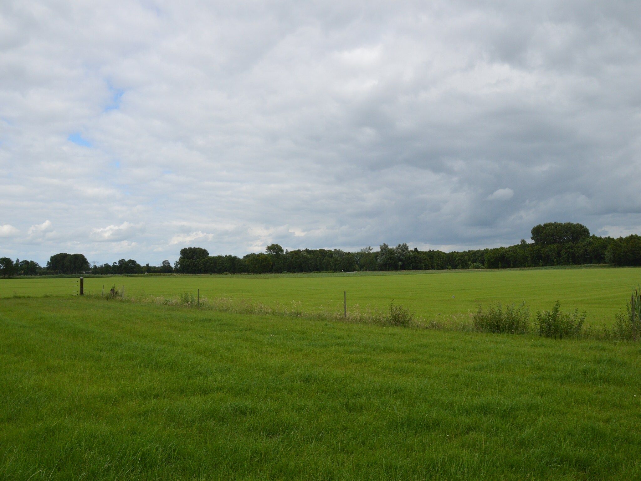 Het uitzicht vanaf 't Kokhuus in Holten