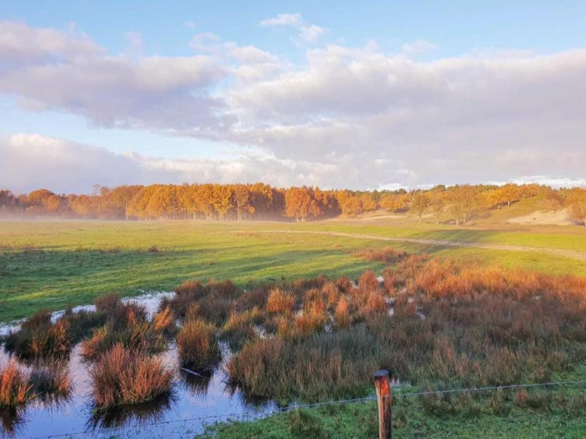 Résidence Wijngaerde 7 in Domburg - Foto 26 van 40