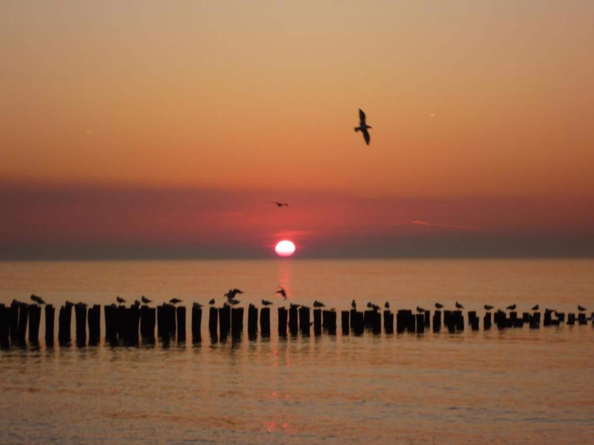 Résidence Wijngaerde 7 in Domburg - Foto 31 van 40