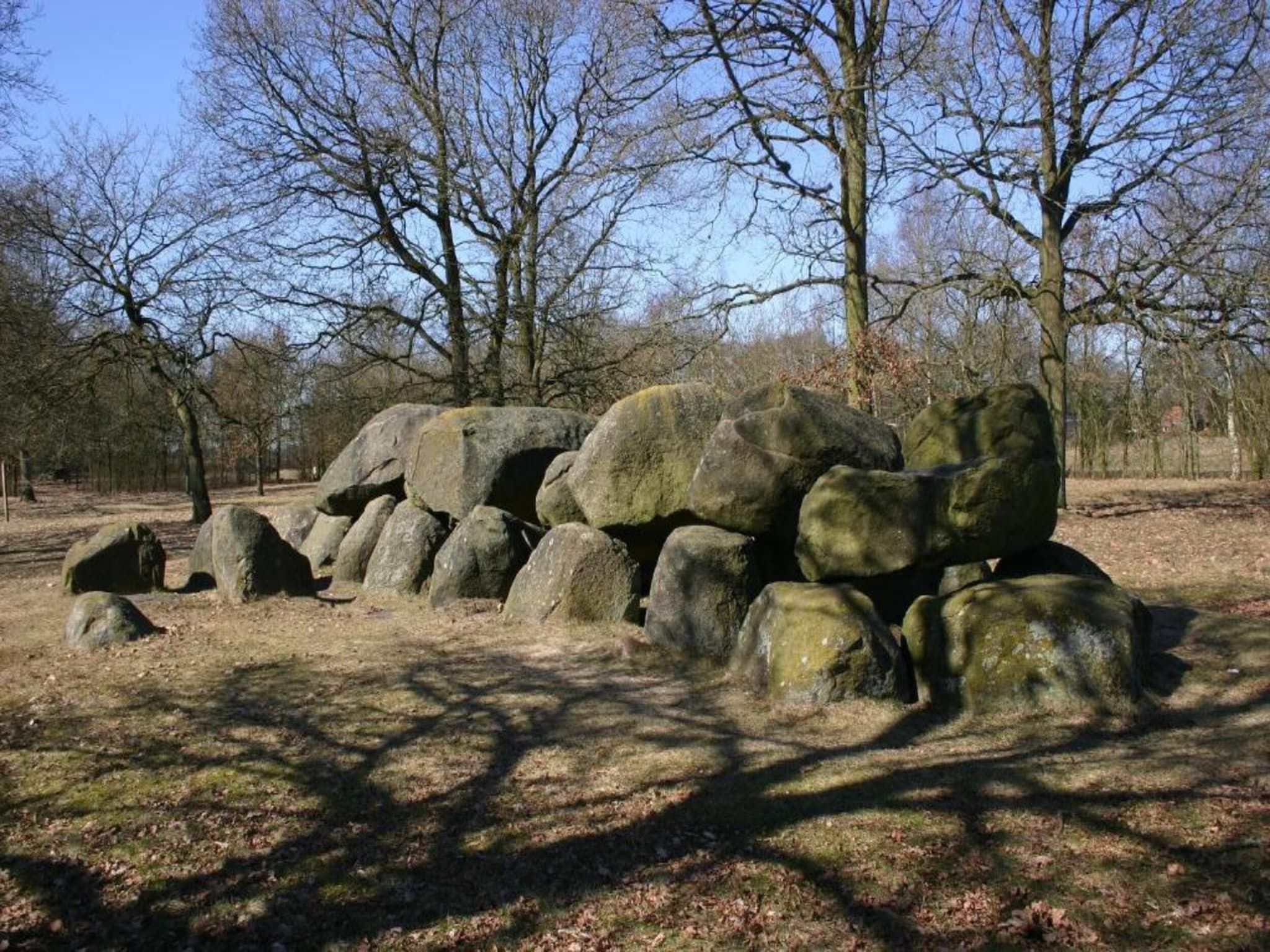 De Drentsche Patrijs in Mantinge - Foto 27 van 40