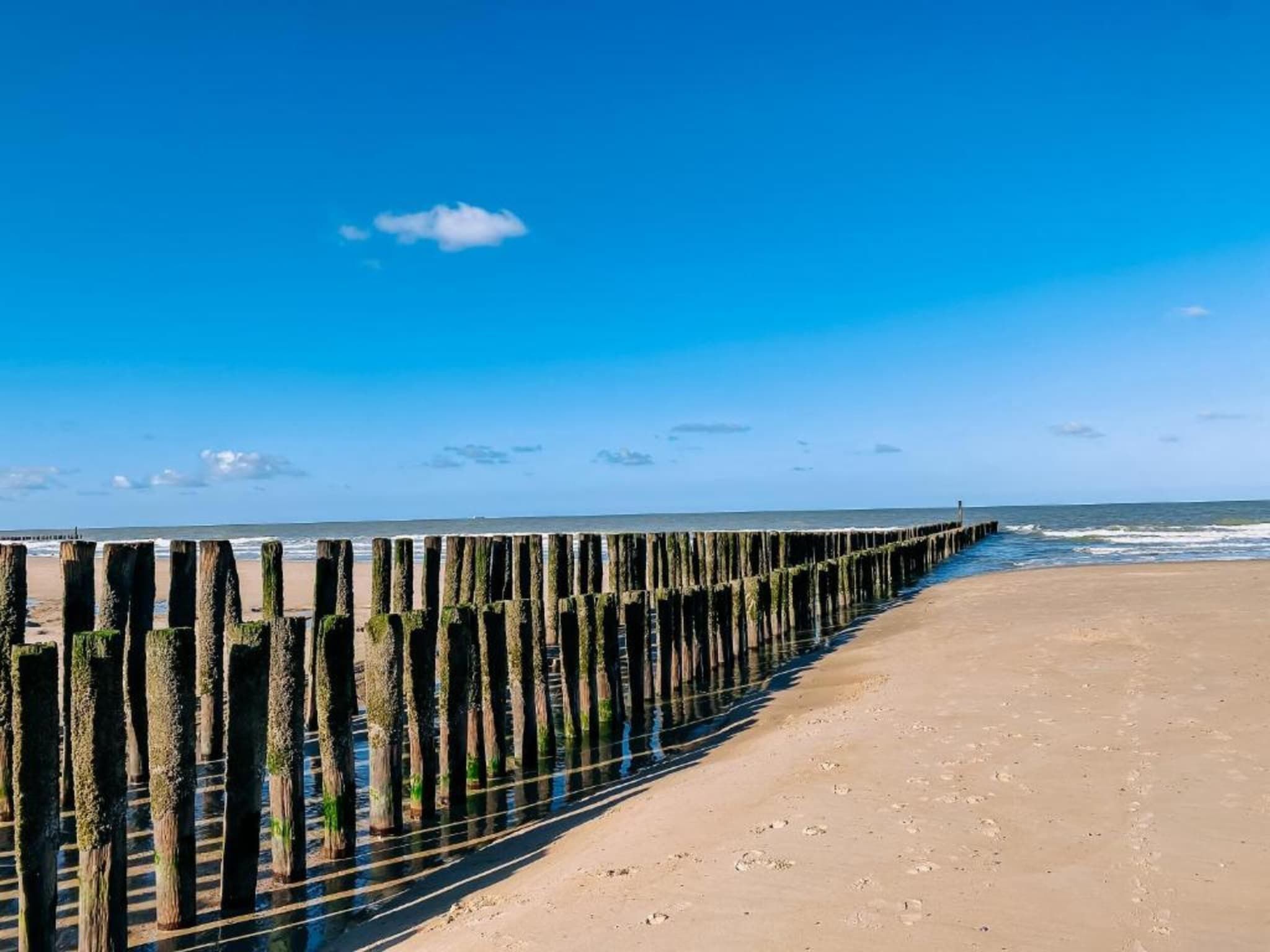 Résidence Wijngaerde 2 in Domburg - Foto 22 van 39