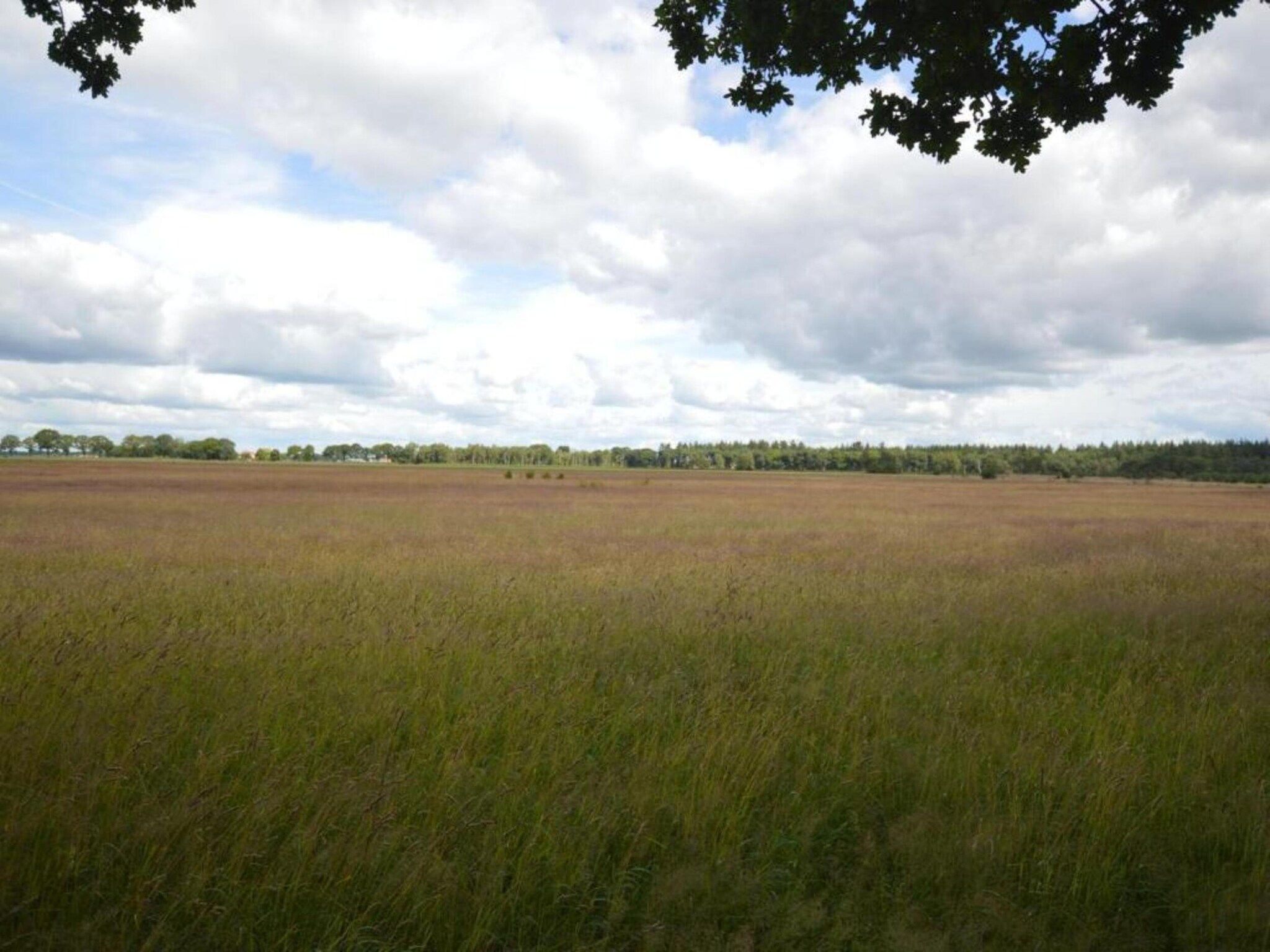 De omgeving van Hof van Salland 4 in Hellendoorn