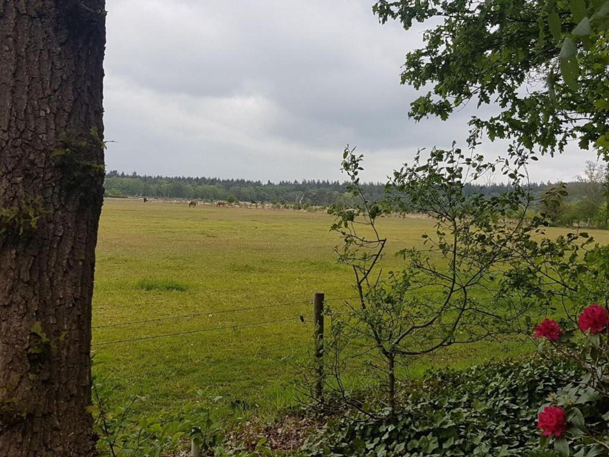 De omgeving van Hof van Salland 7 in Hellendoorn