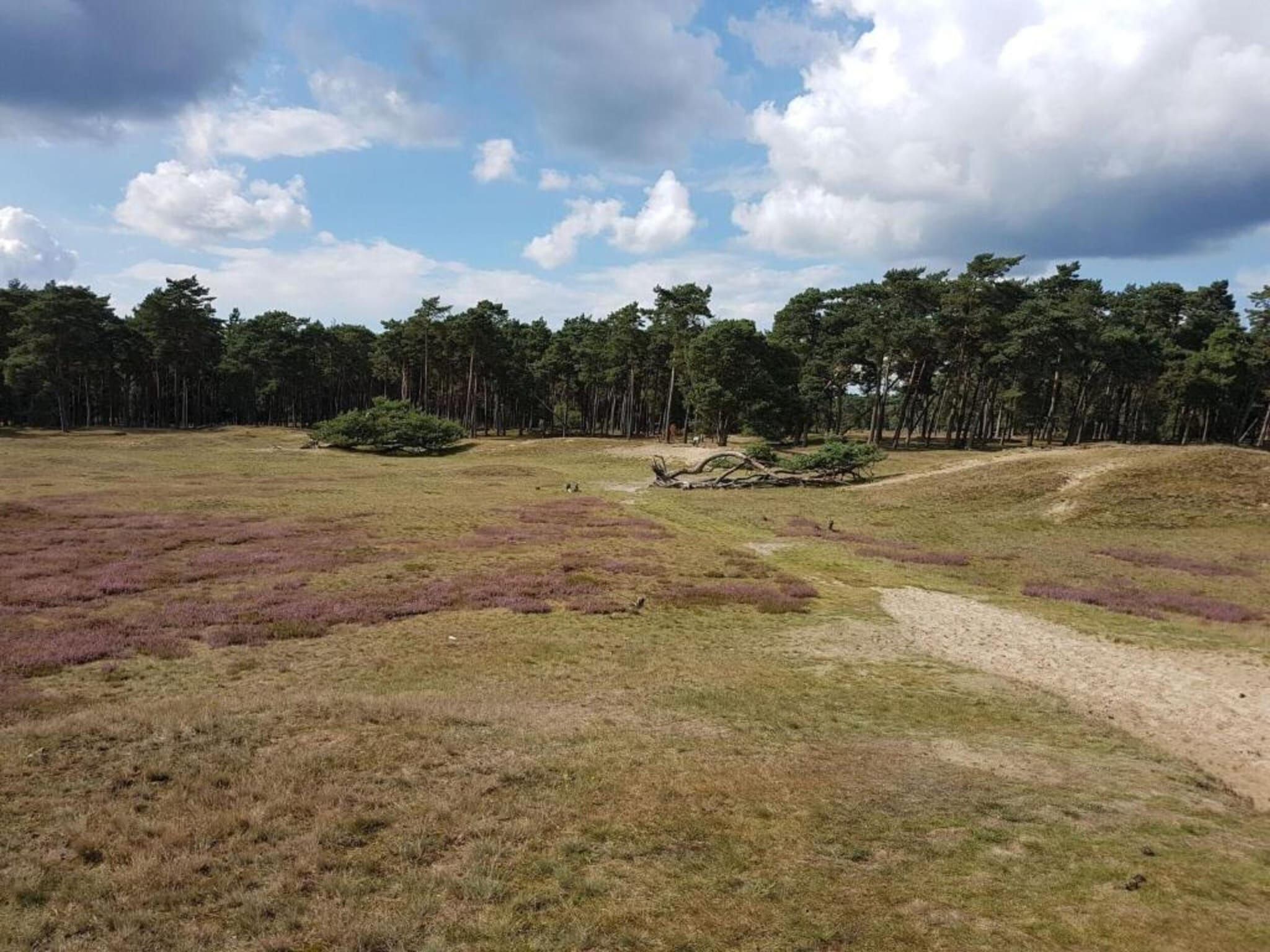 De omgeving van Hof van Salland 7 in Hellendoorn