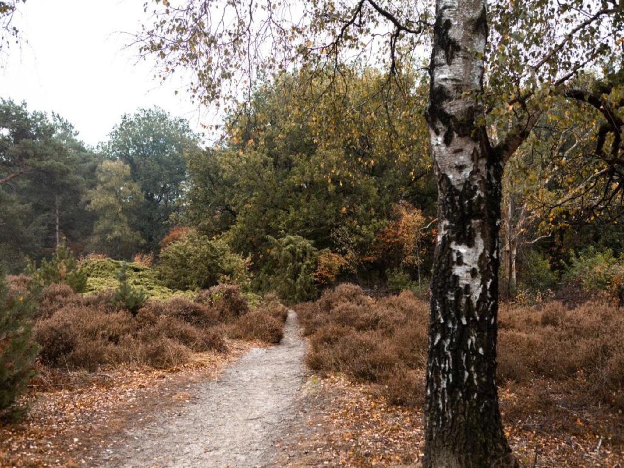 De omgeving van Hof van Salland 7 in Hellendoorn