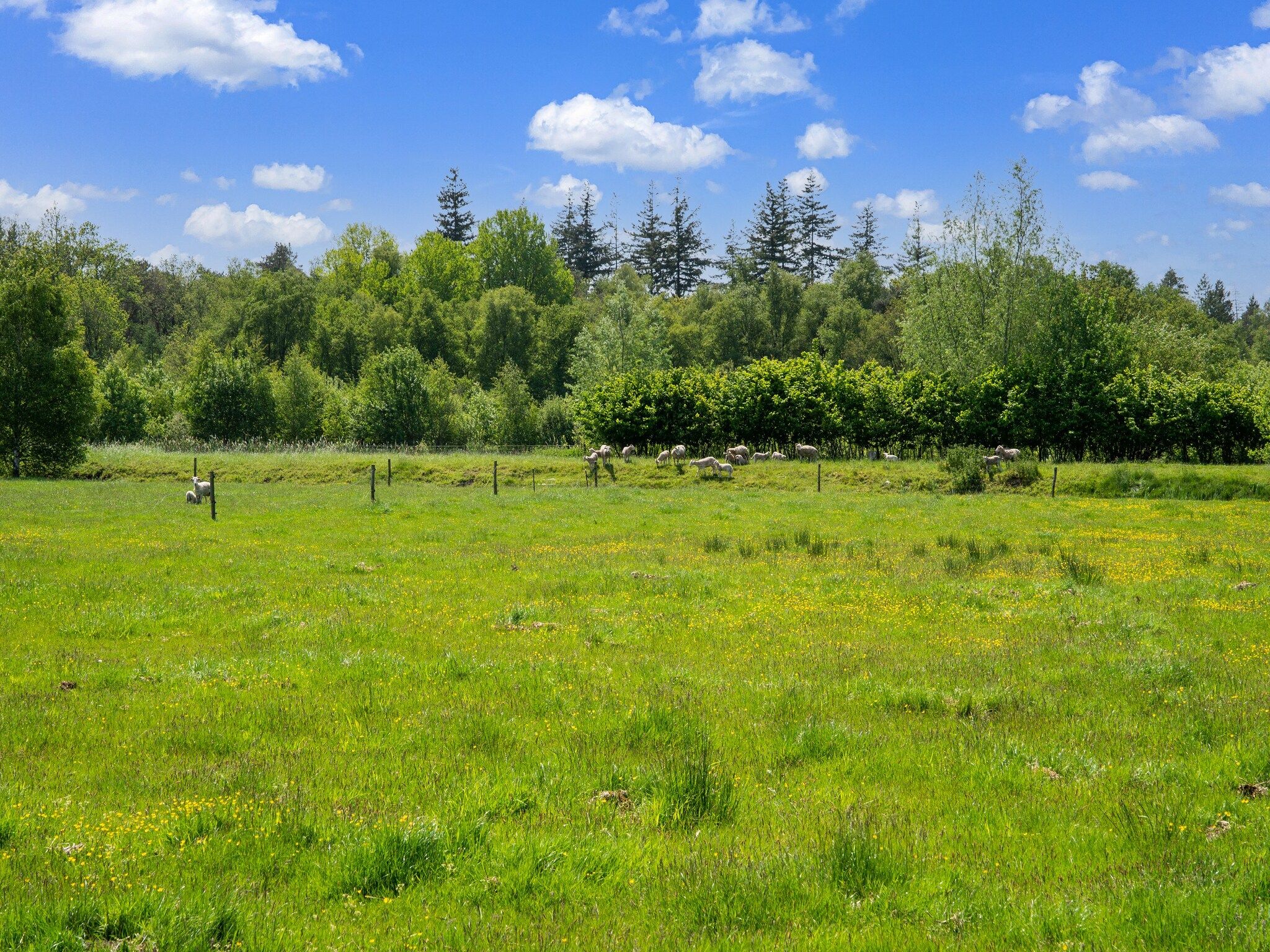 Natuurhuis Dichtbij in Beilen - Foto 35 van 40