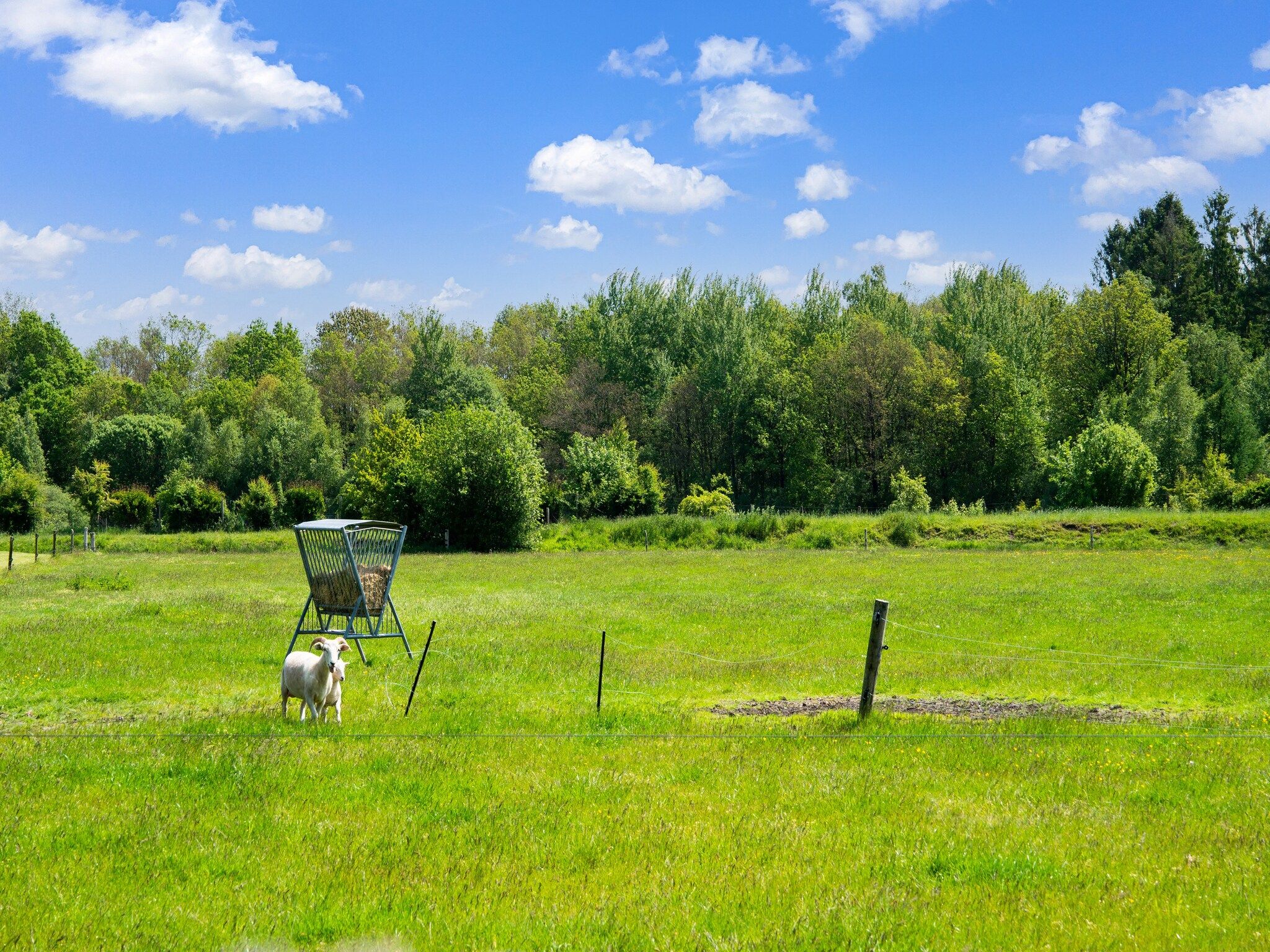 Het uitzicht vanaf Natuurhuis Dichtbij in Beilen