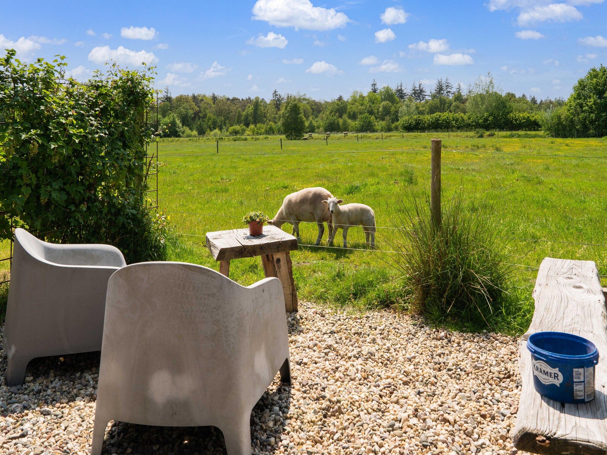 De tuin van Natuurhuis Dichtbij in Beilen