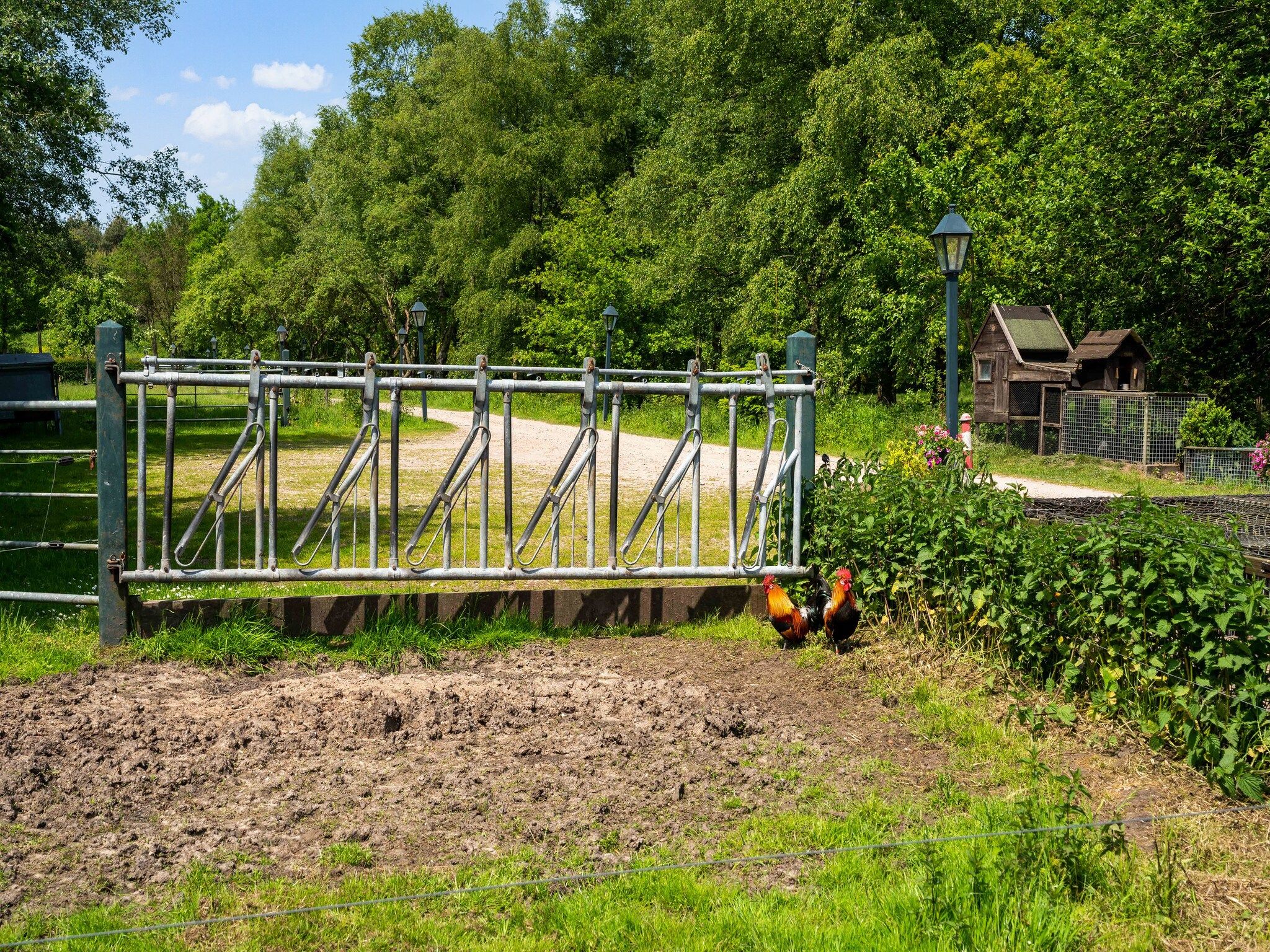 Natuurhuis Dichtbij in Beilen - Foto 34 van 40