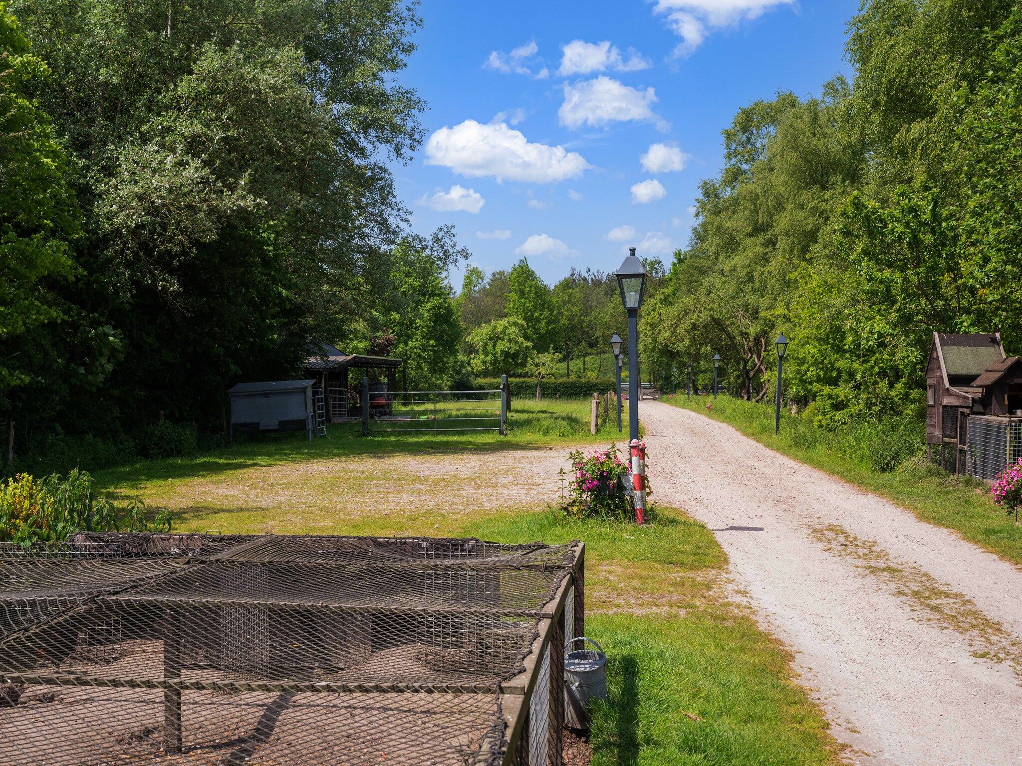 Natuurhuis Dichtbij in Beilen - Foto 36 van 40