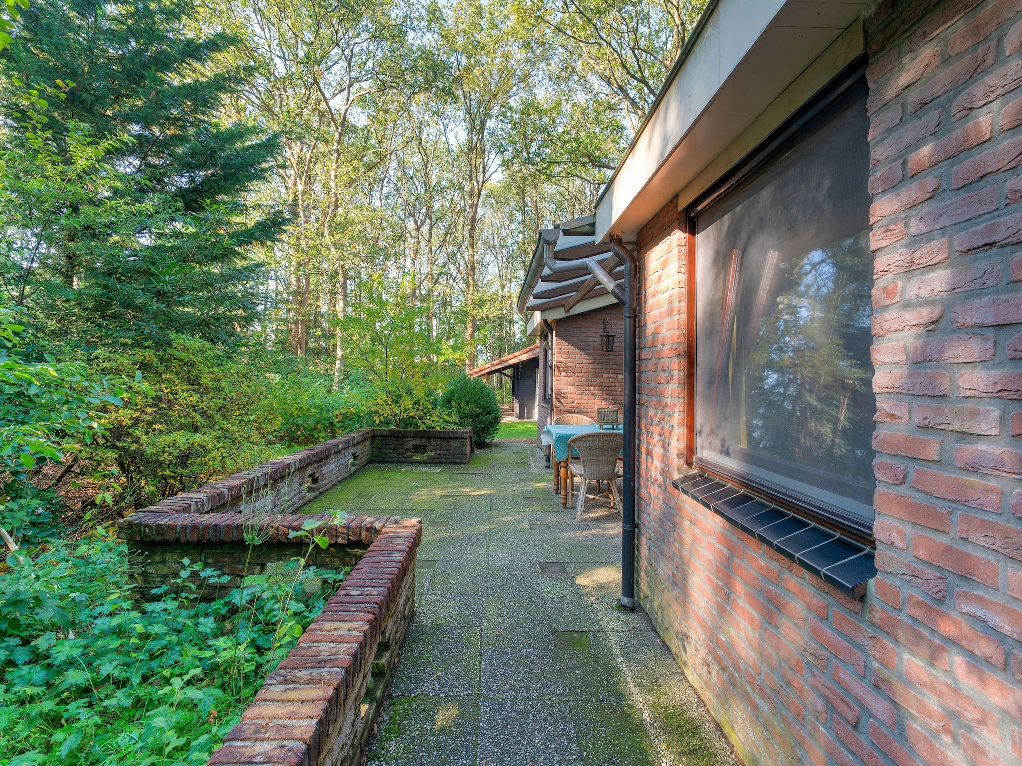 Het terras van The Forest Cottage in Zorgvlied