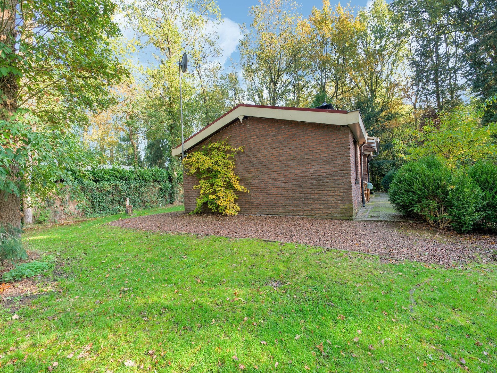 De tuin van The Forest Cottage in Zorgvlied