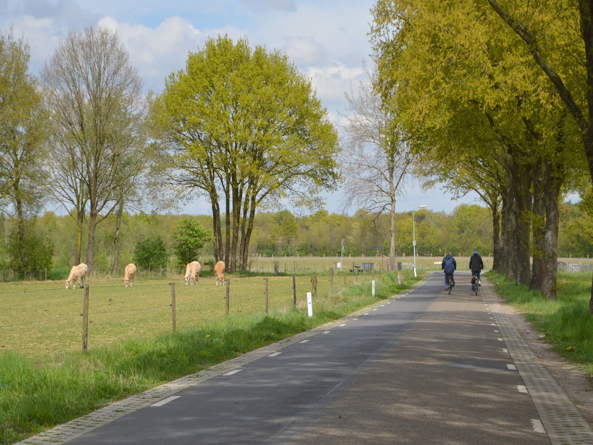 De omgeving van Bungalow 5 in Stramproy