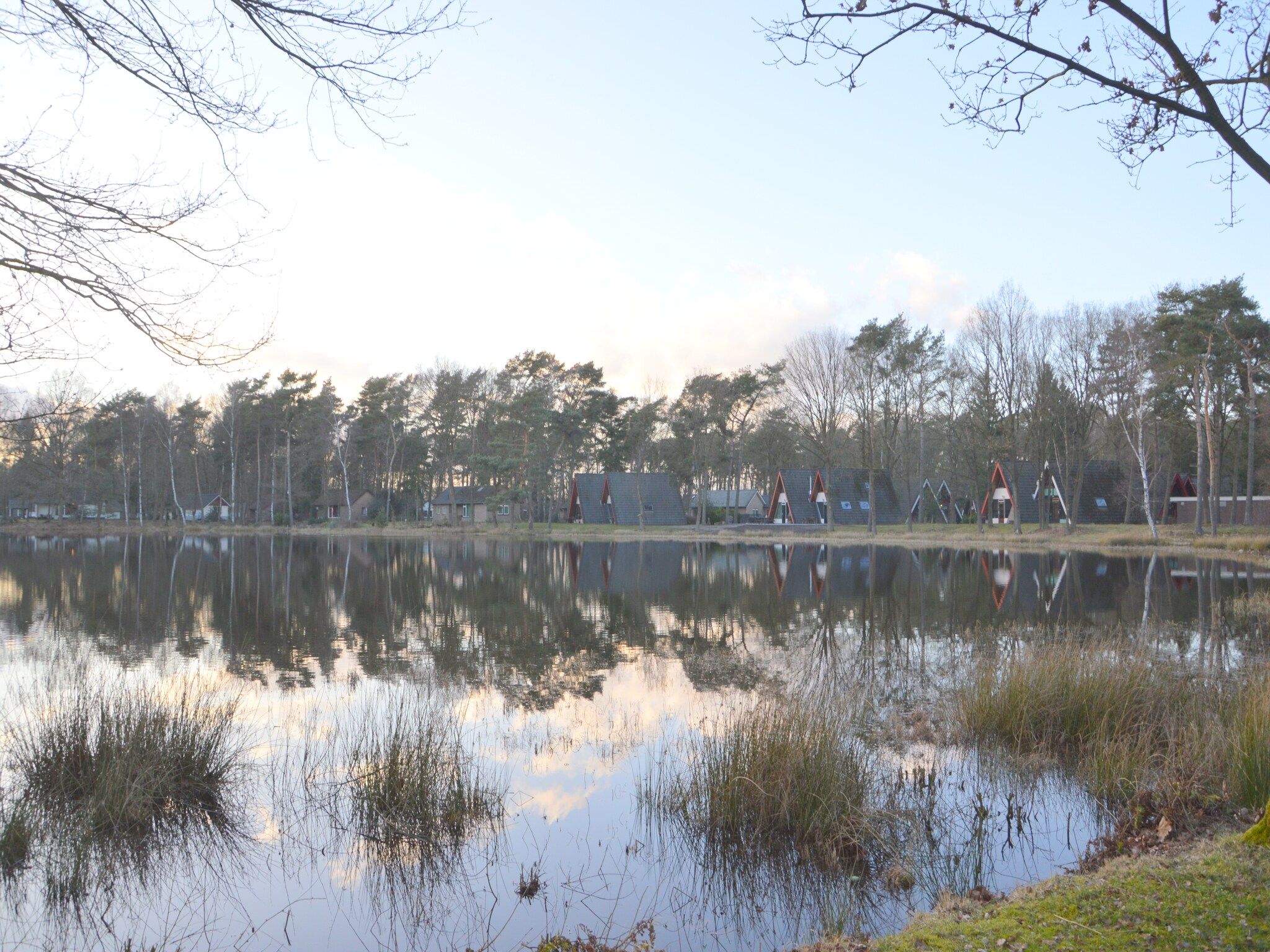Het uitzicht vanaf Bungalow 4 in Stramproy