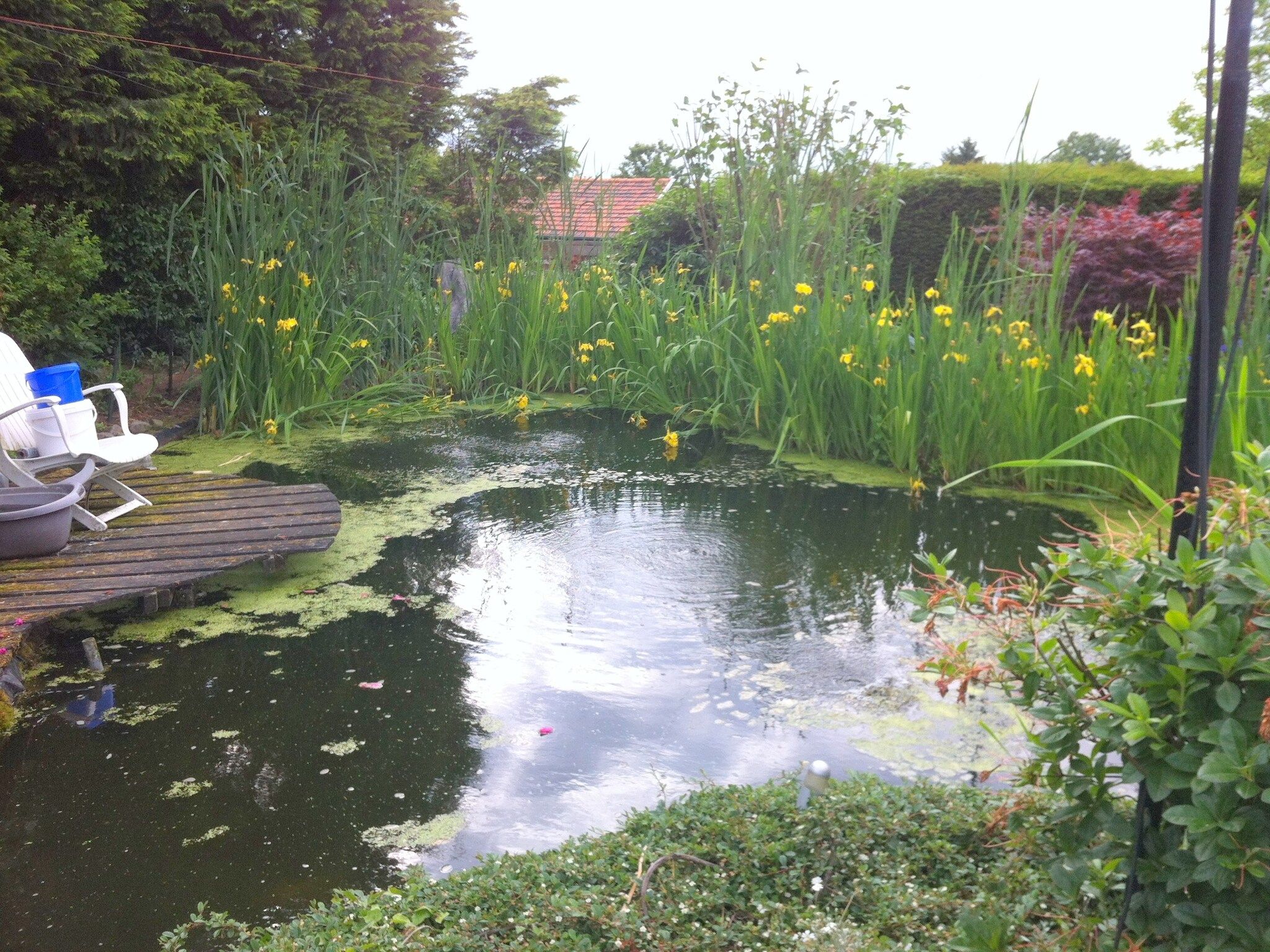 De tuin van De Sjuur in Sweikhuizen