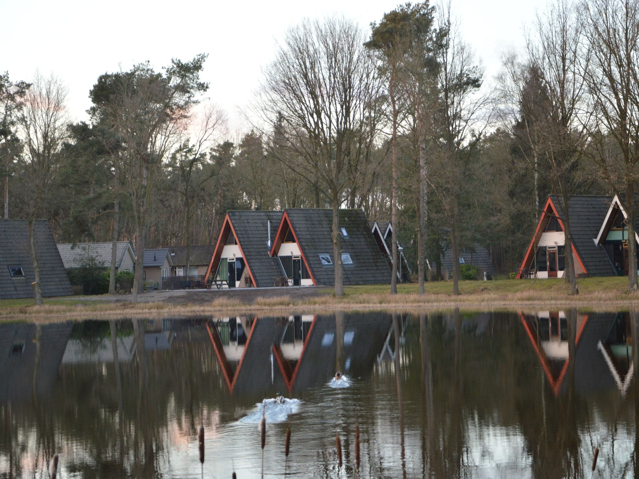 Bungalows 48 en 49 in Stramproy - Foto 28 van 30