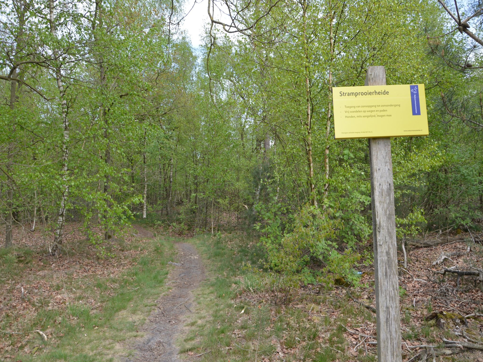 De omgeving van Bungalows 48 en 49 in Stramproy