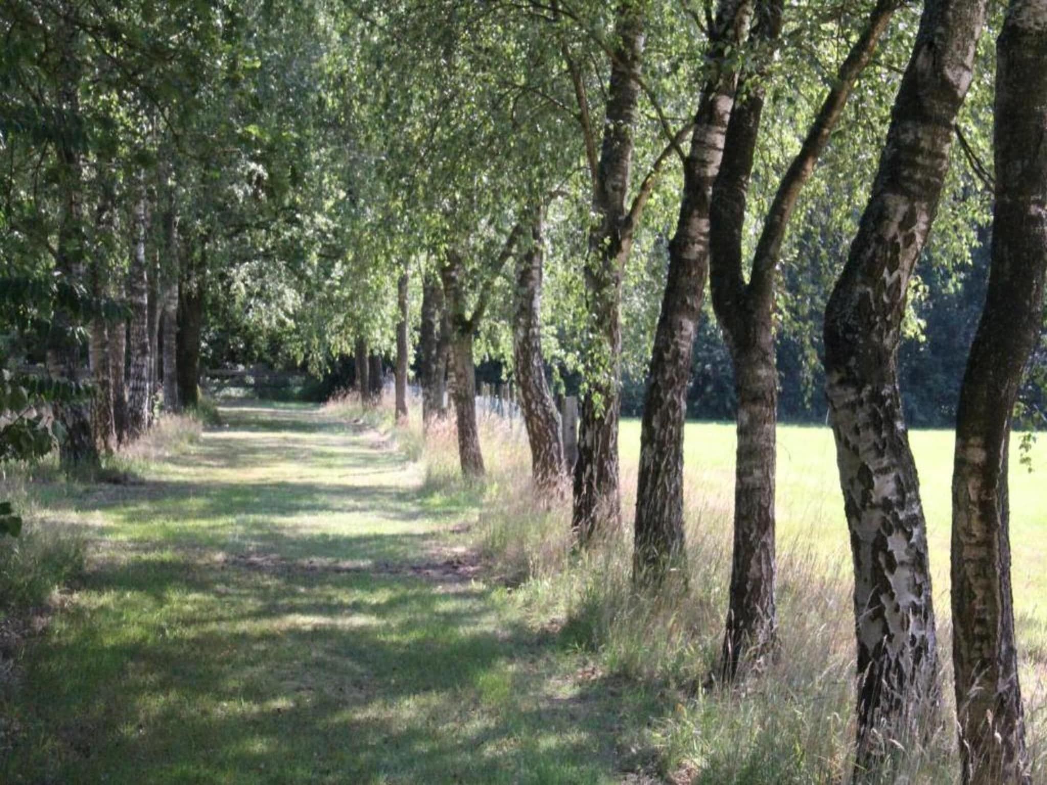 Vakantiepark de Tabaksschuur 2 in Elst - Foto 20 van 26