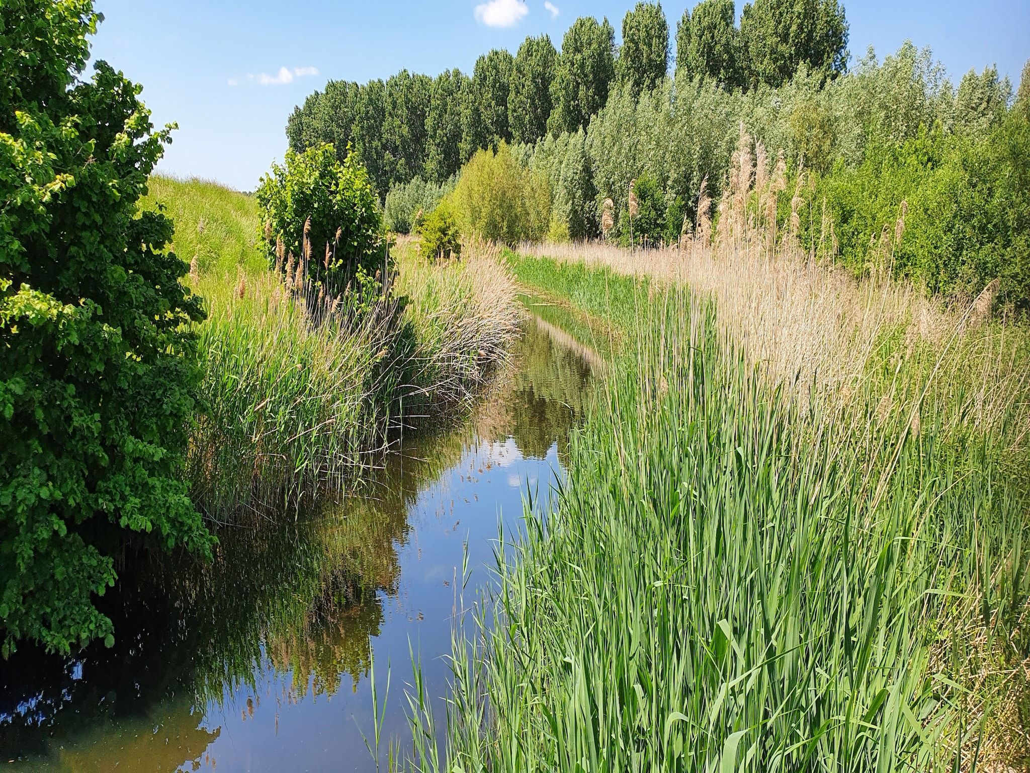Houck in Koewacht - Foto 17 van 38