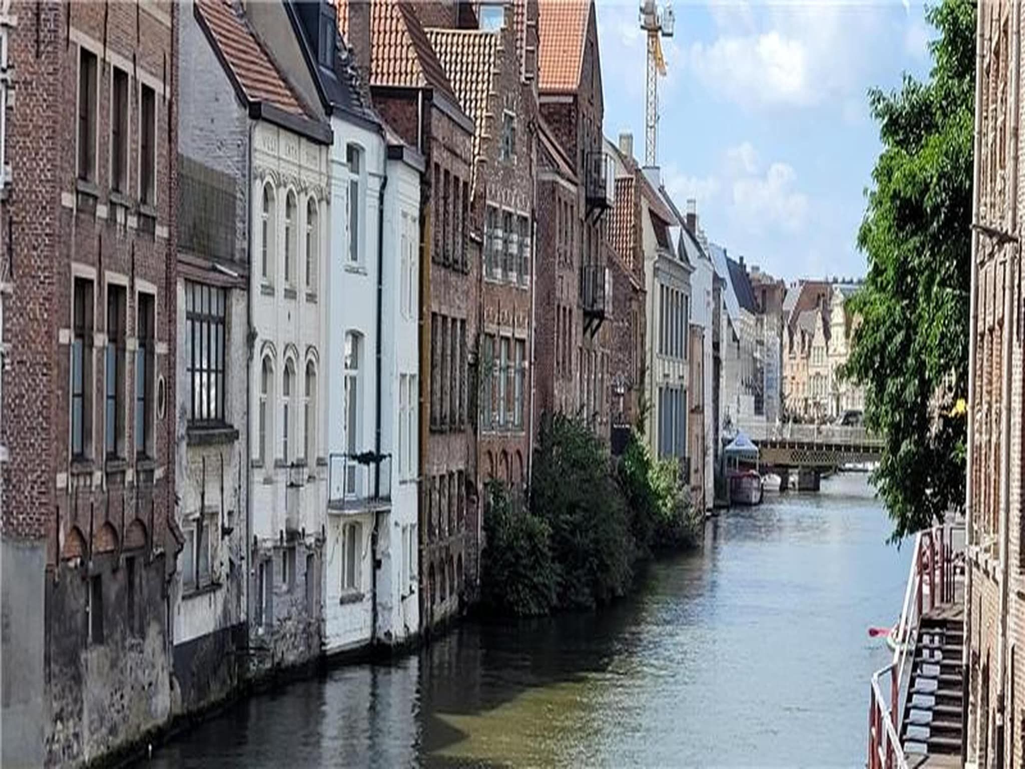 De omgeving van Houck in Koewacht