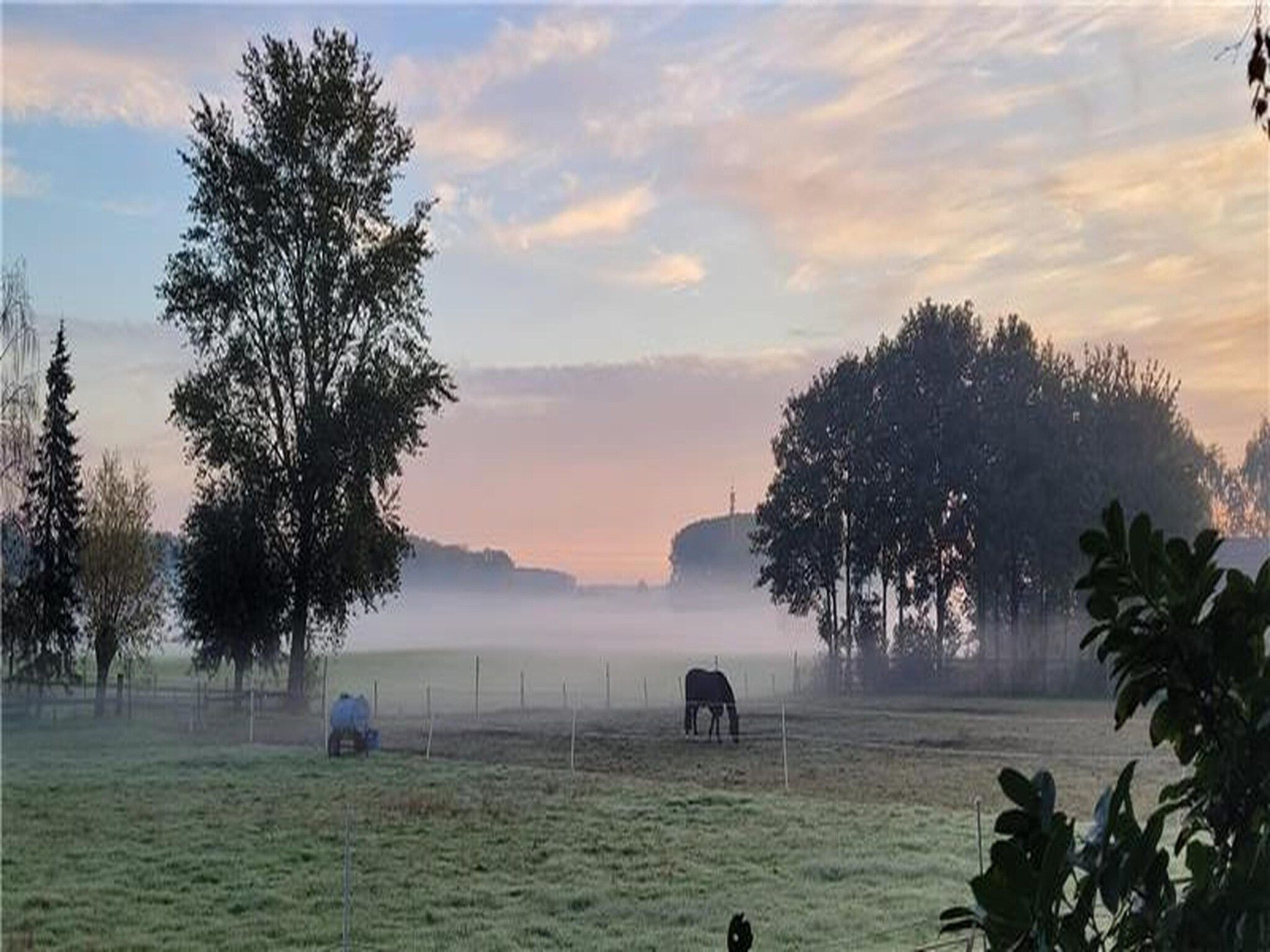 De omgeving van Houck in Koewacht