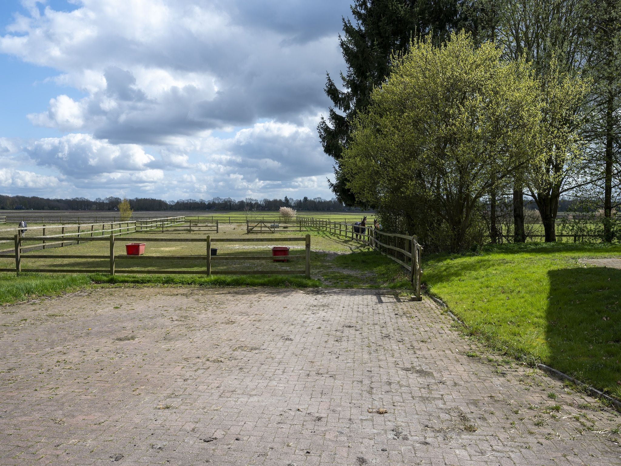 Het uitzicht vanaf De Kibbelhoeve in Kibbelveen