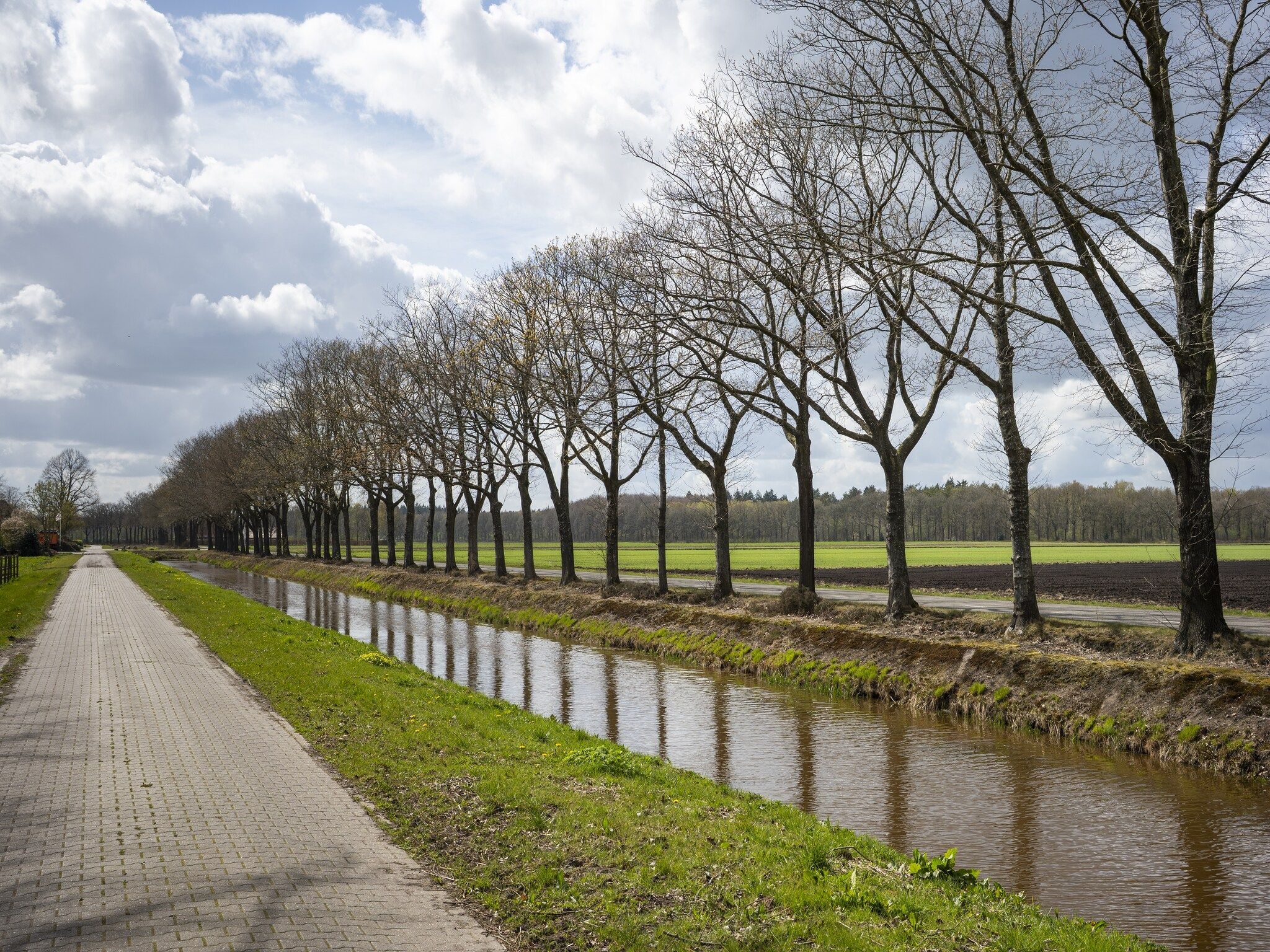 De omgeving van De Kibbelhoeve in Kibbelveen