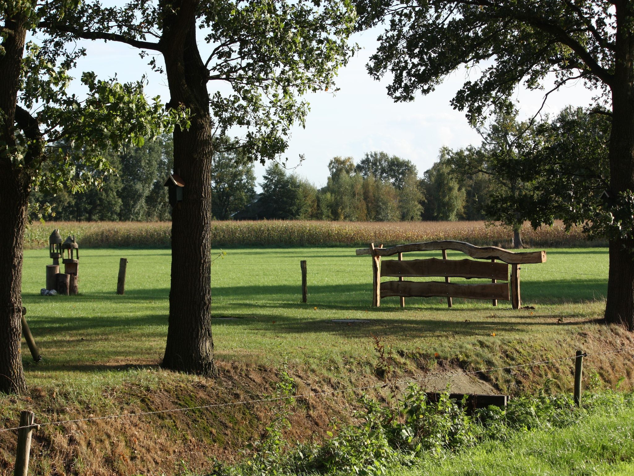 Het uitzicht vanaf Tuinpad in Geesteren