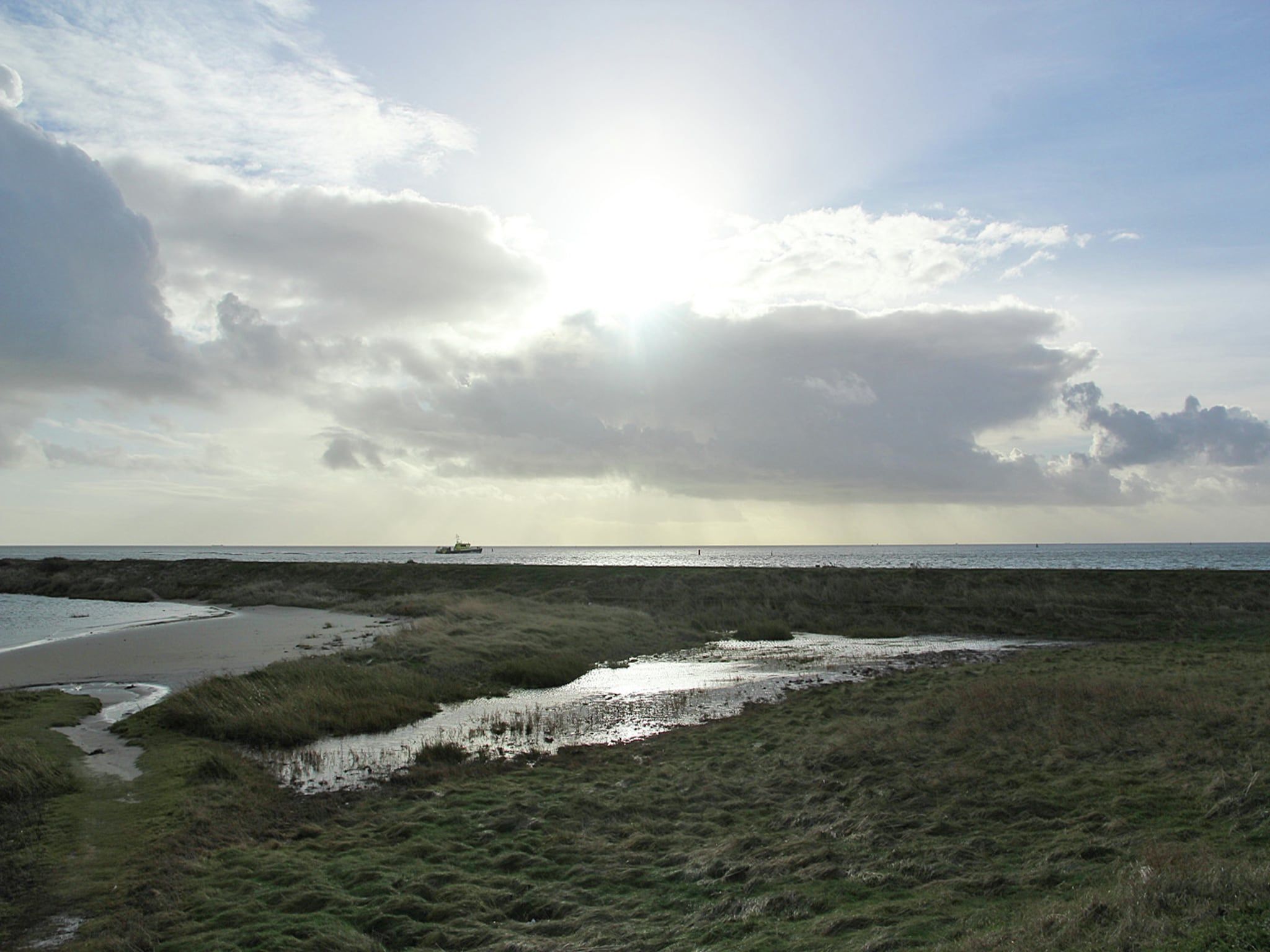 Duindroom op Terschelling in Midsland Terschelling - Foto 24 van 40