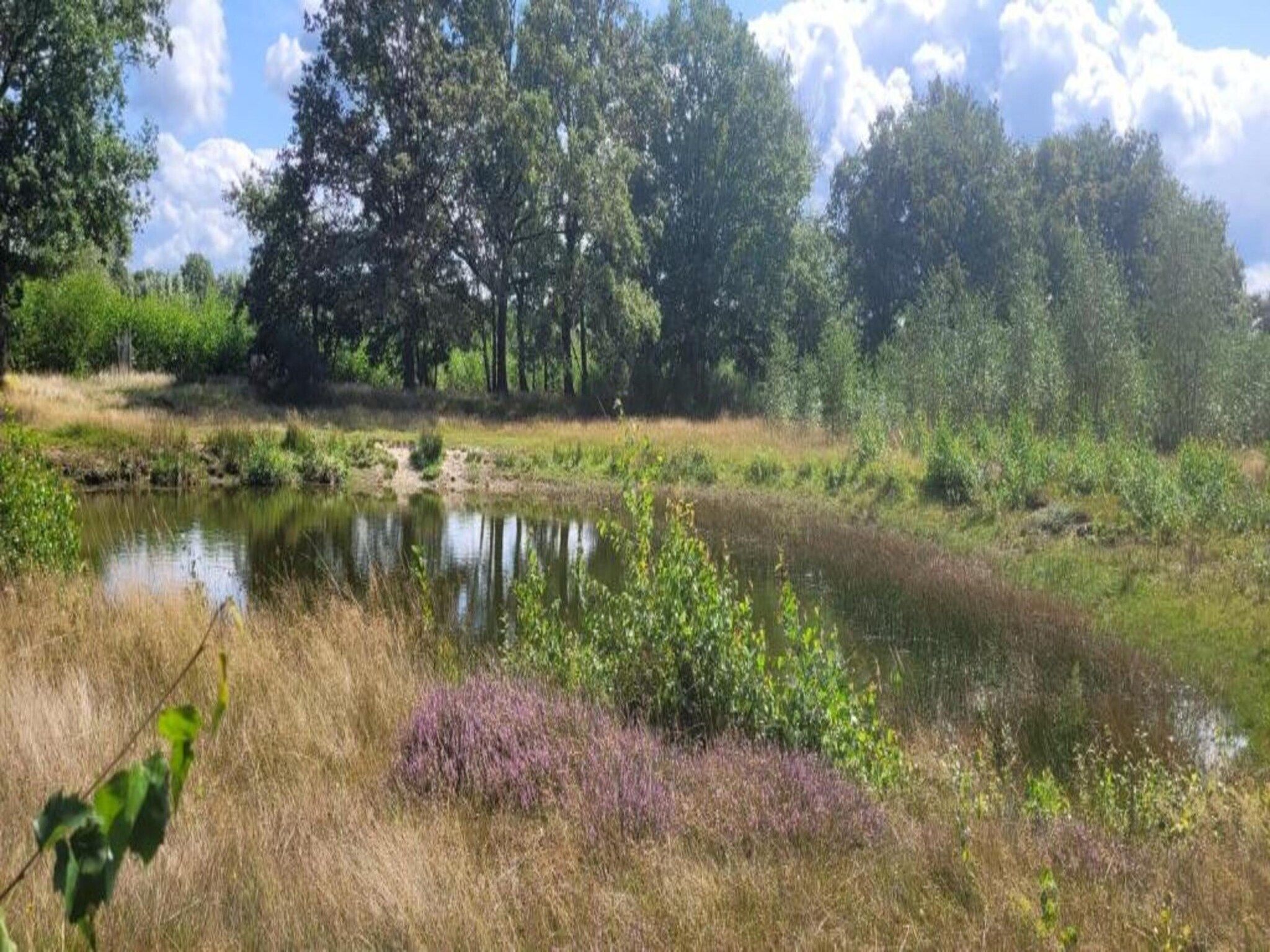 Vakantiepark Sandberghe 3 in Uden - Foto 28 van 42