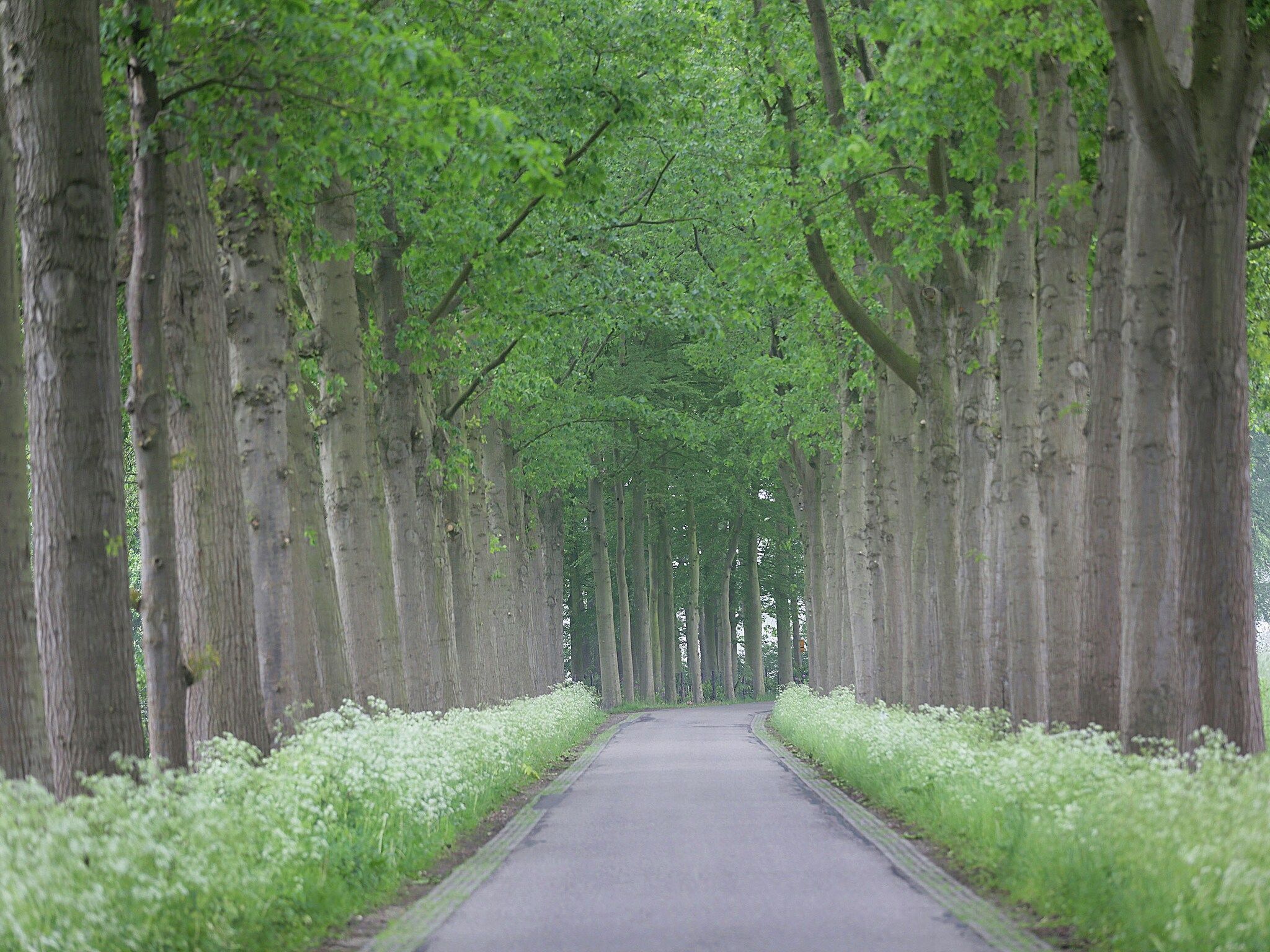 Hofstede Groot Blankenstein in Doorn - Foto 31 van 40
