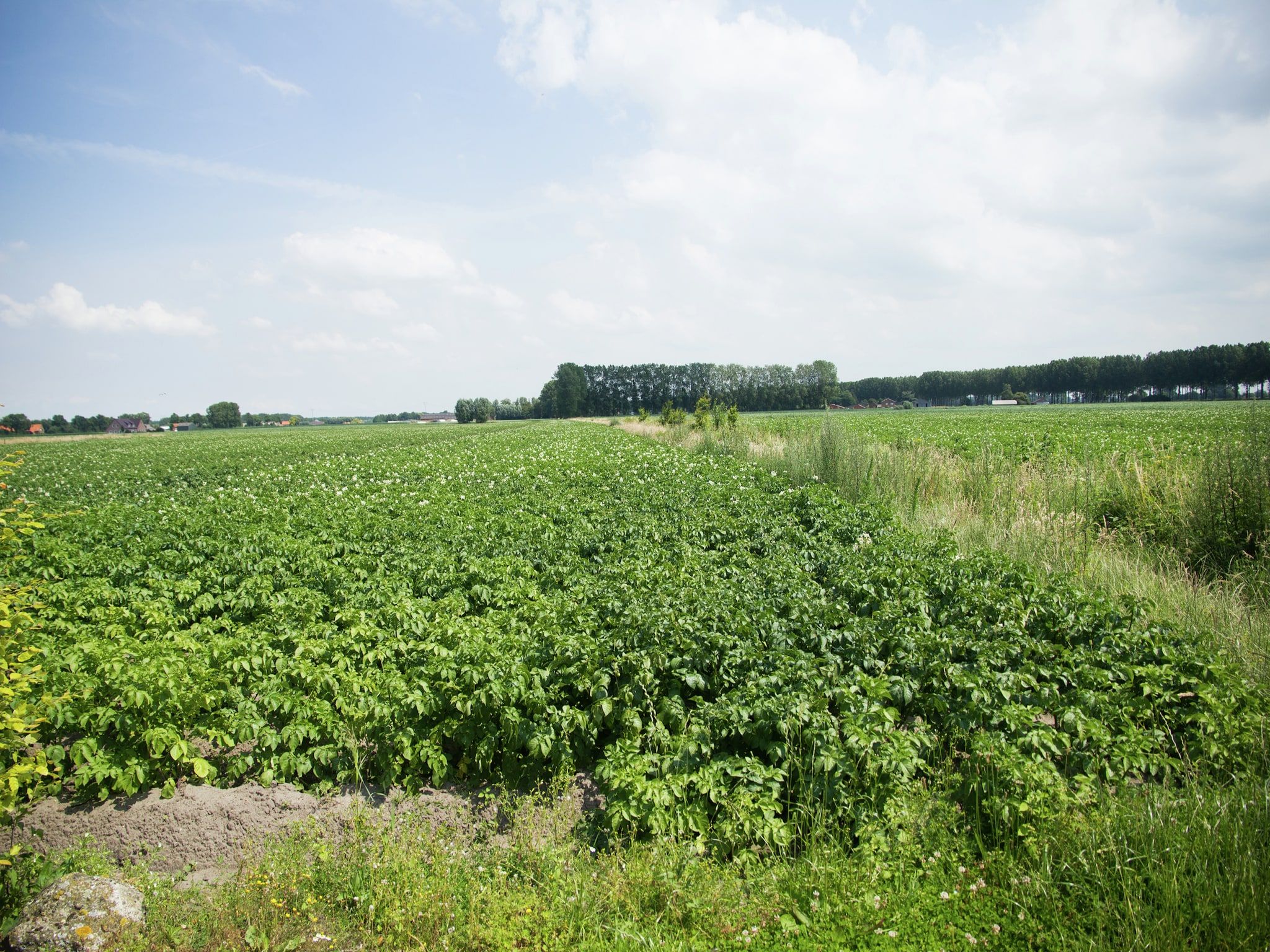 Het uitzicht vanaf De Biezenknop in Eede