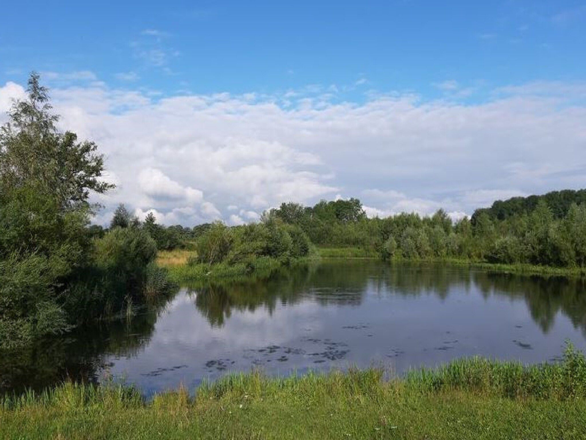 Gelink Hof in Rekken - Foto 37 van 43