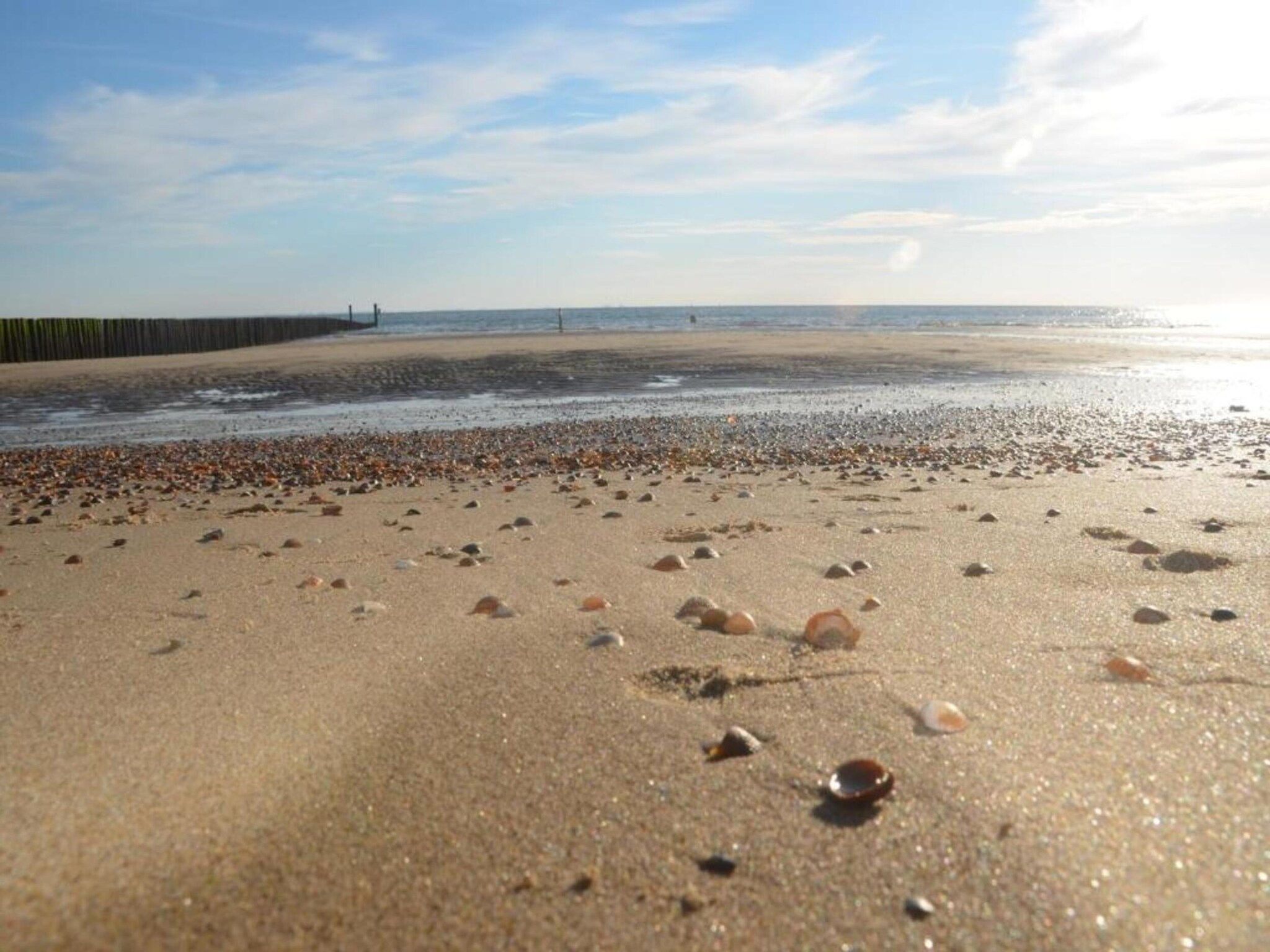 De omgeving van Noordzee Résidence Dishoek 11 in Koudekerke