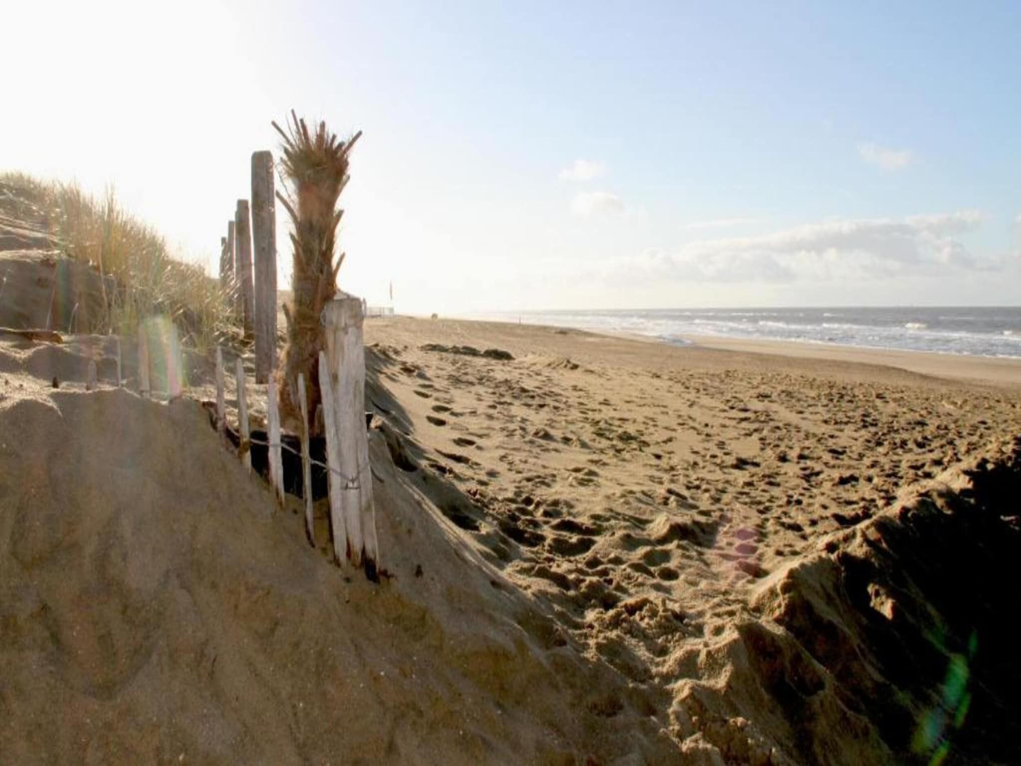 Searose in Noordwijk - Foto 36 van 40