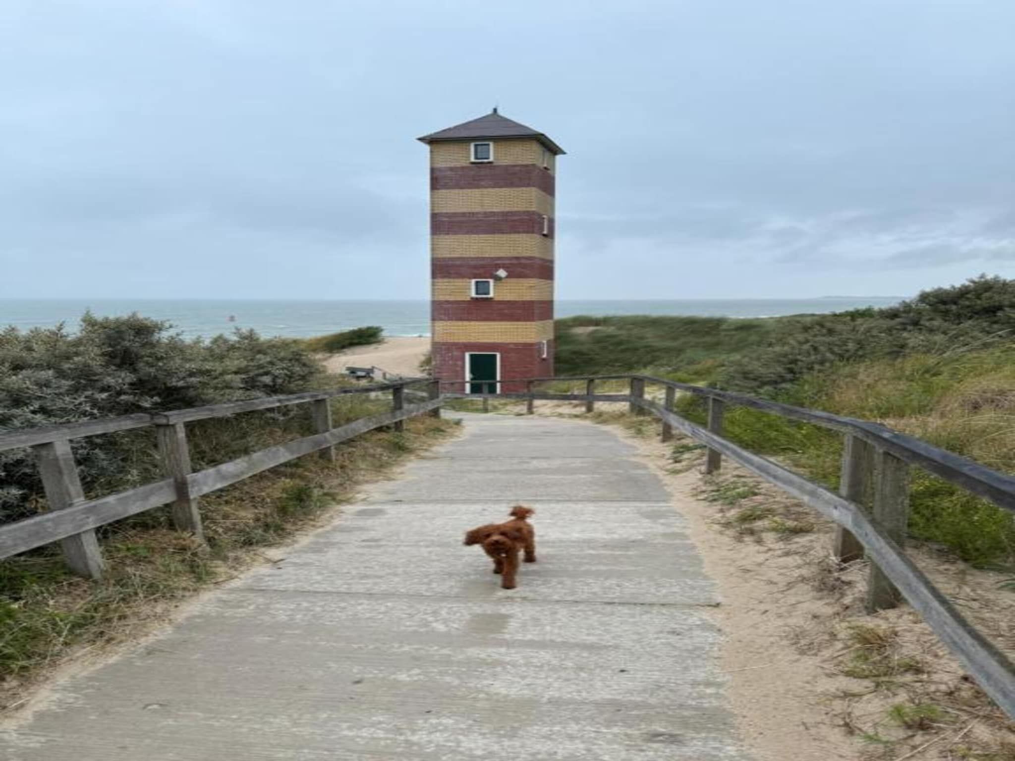 De omgeving van Noordzee Résidence Dishoek 3 in Koudekerke