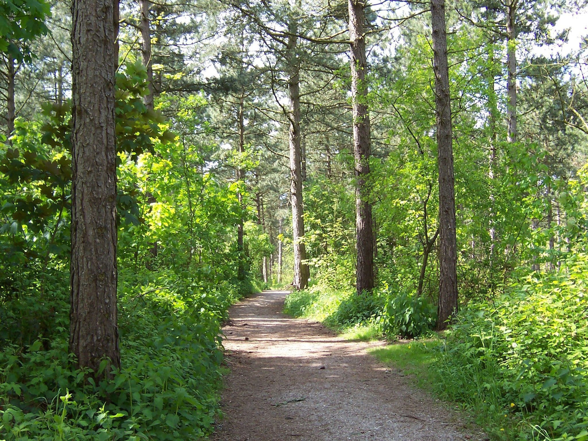 De omgeving van Duinvilla Noordwijk in Noordwijk