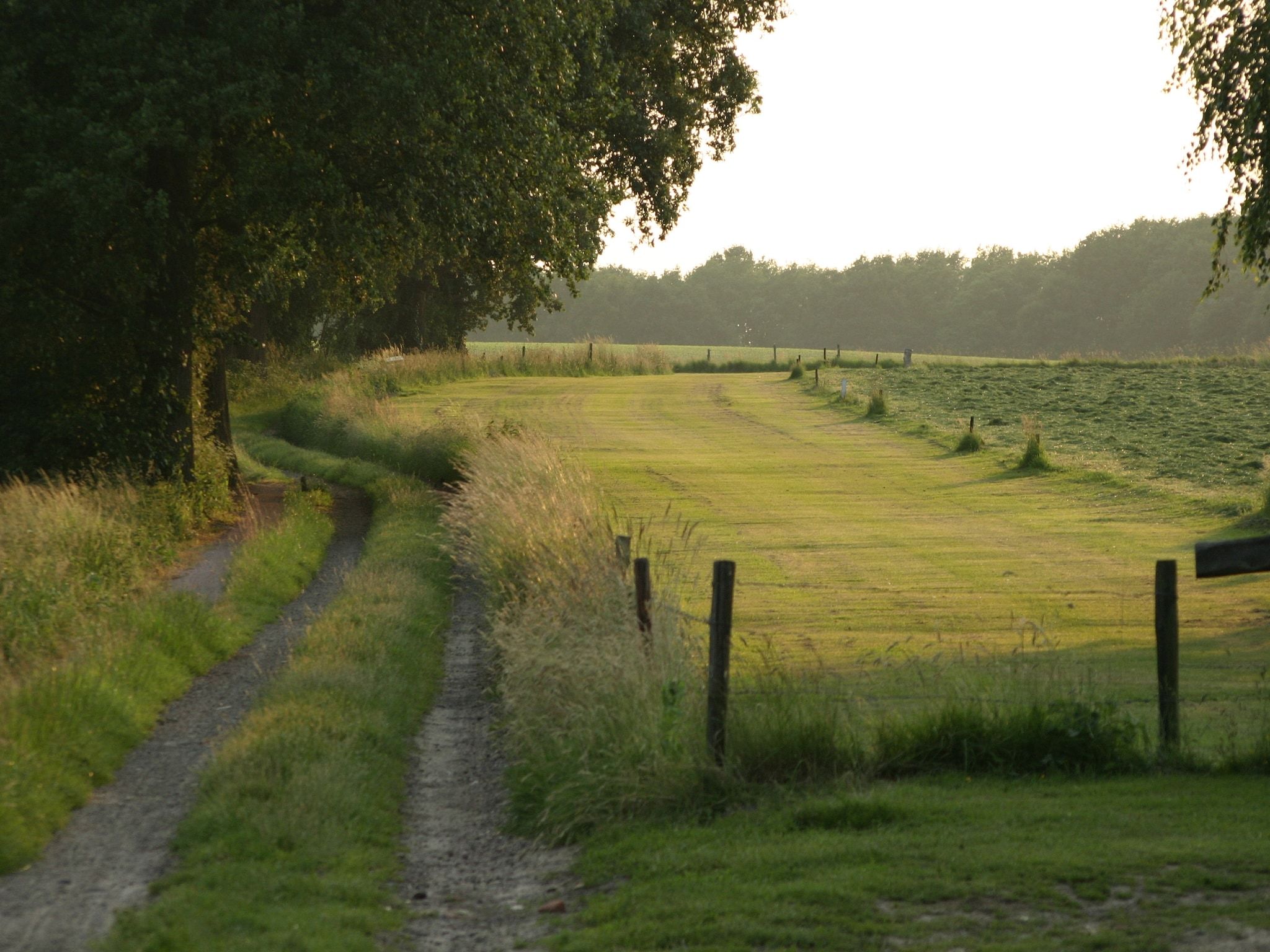De omgeving van Chaletpark Kuiperberg 4 in Ootmarsum