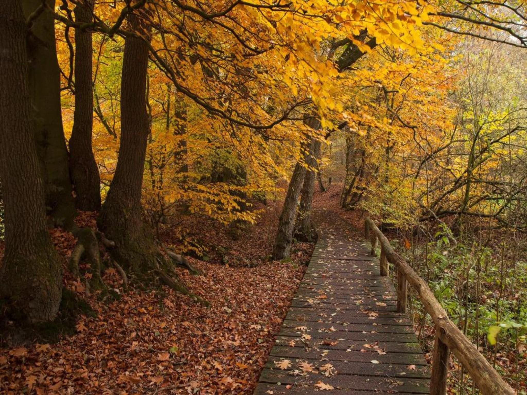 De omgeving van Chaletpark Kuiperberg 4 in Ootmarsum