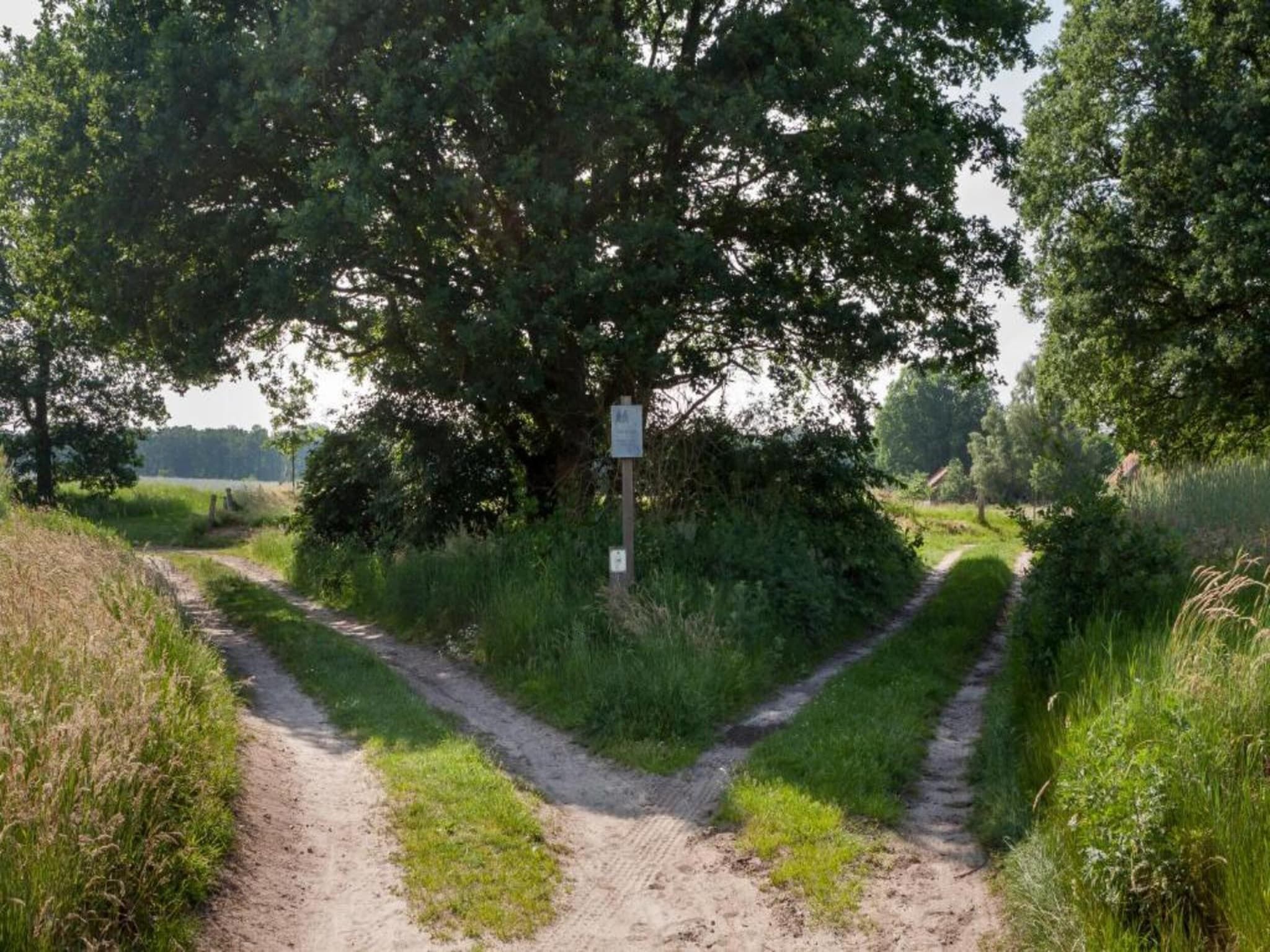 De omgeving van Chaletpark Kuiperberg 4 in Ootmarsum