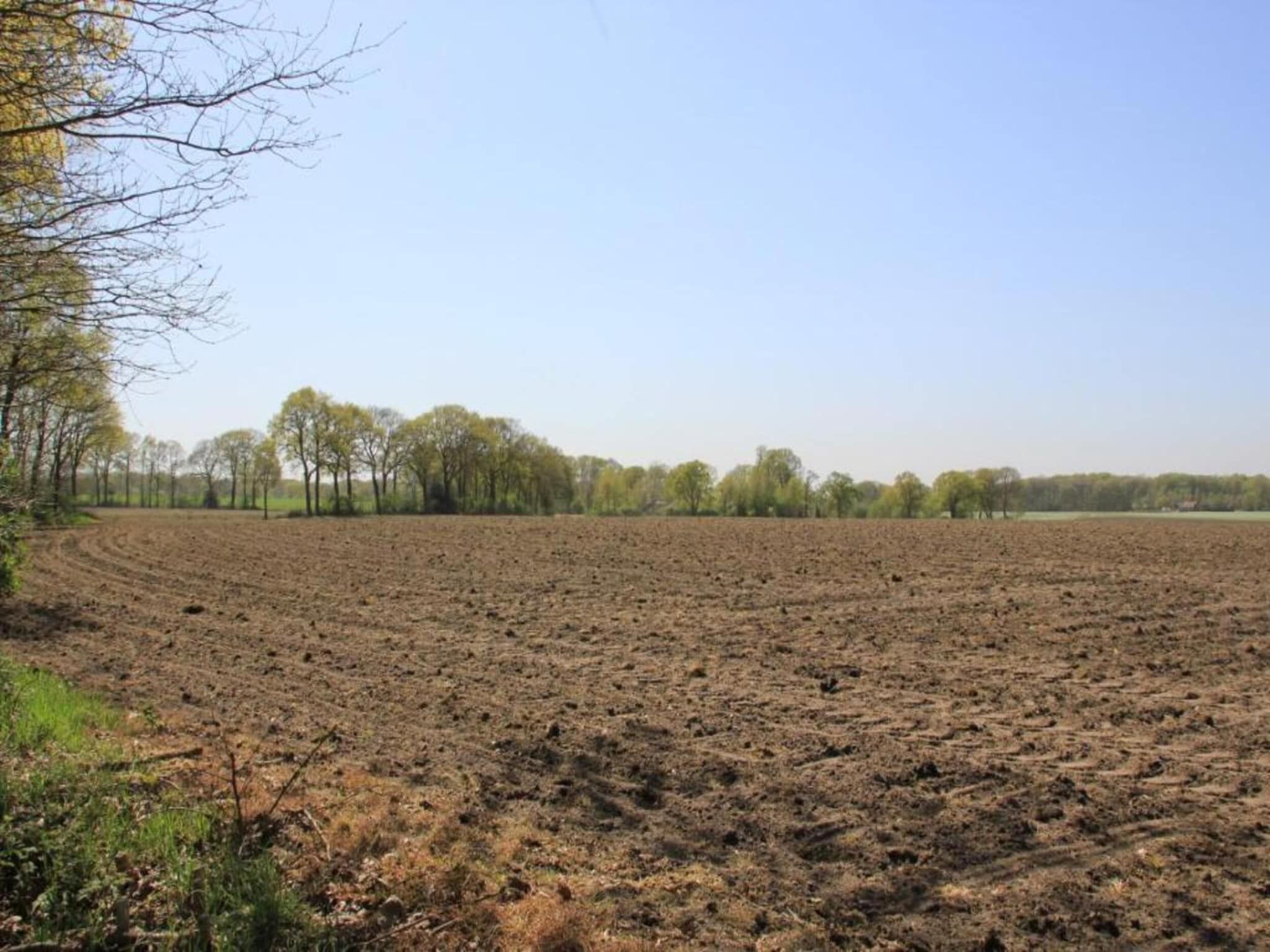 De omgeving van Chaletpark Kuiperberg 4 in Ootmarsum