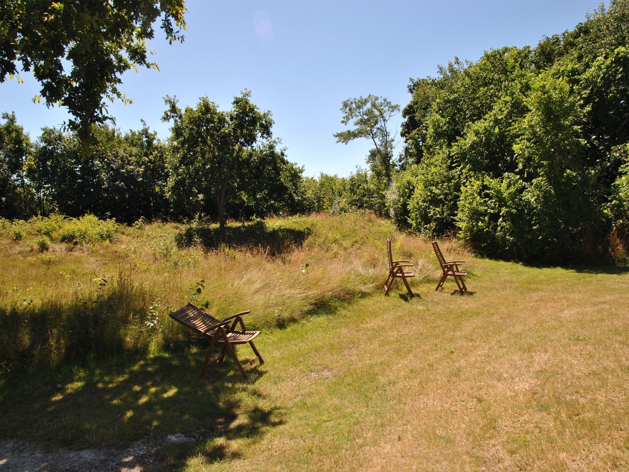 De tuin van De Kerkuil in De Cocksdorp-Texel